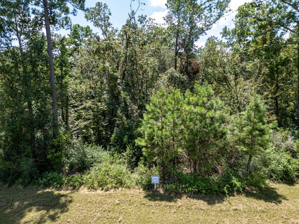 27362 Shady Hills Landing Lane