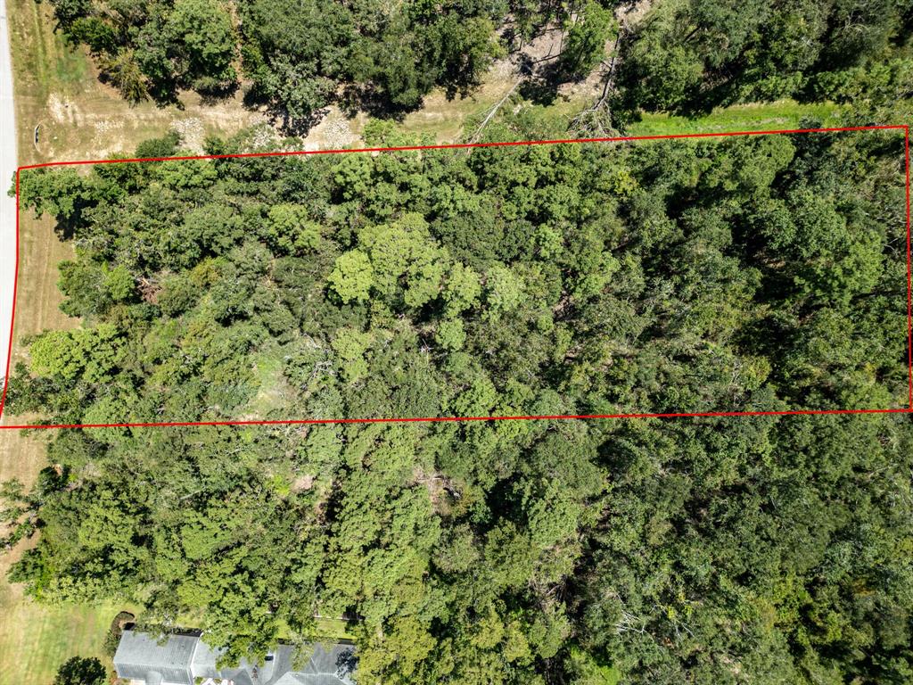 27362 Shady Hills Landing Lane