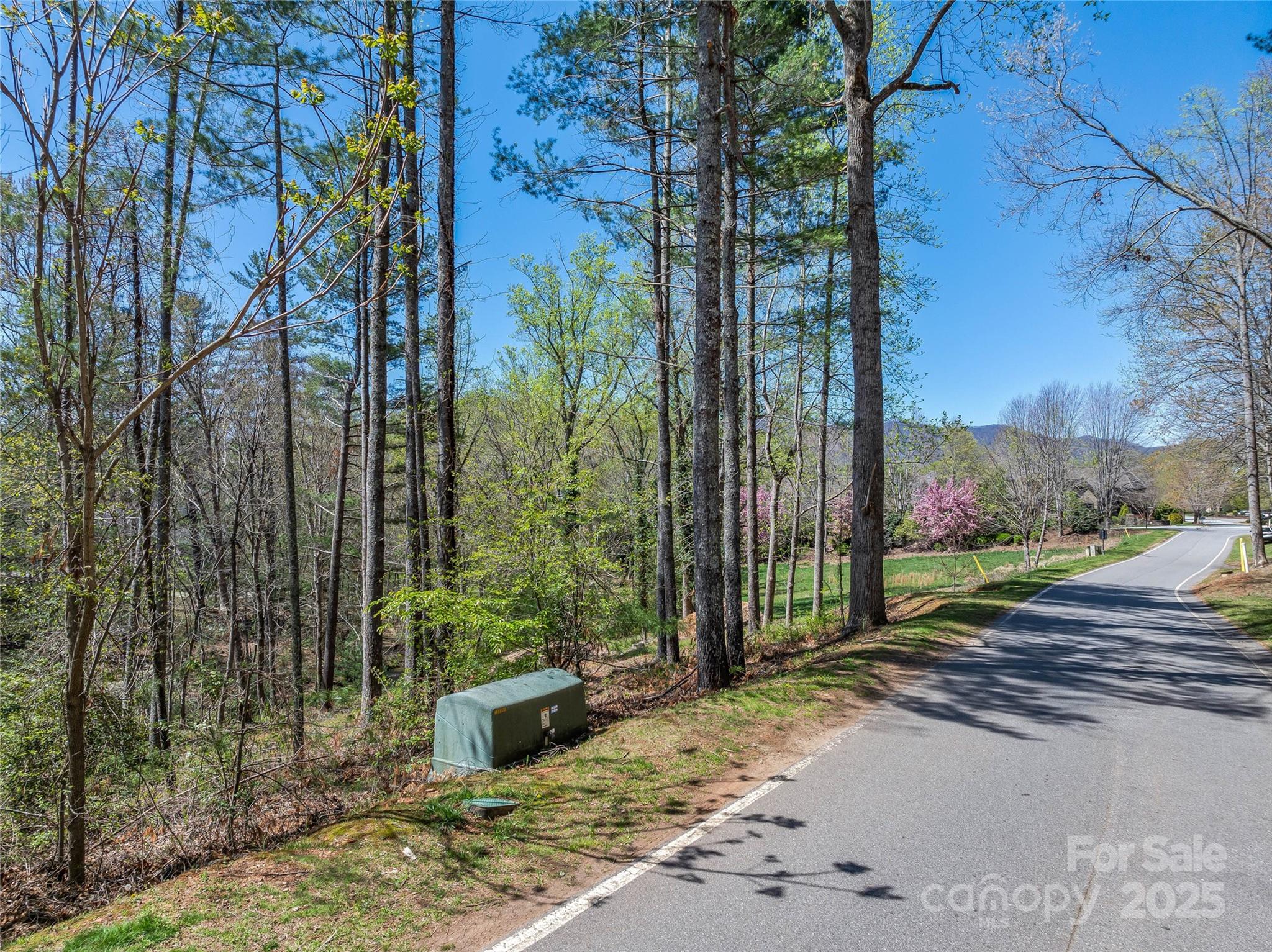 99999 Misty Valley Parkway