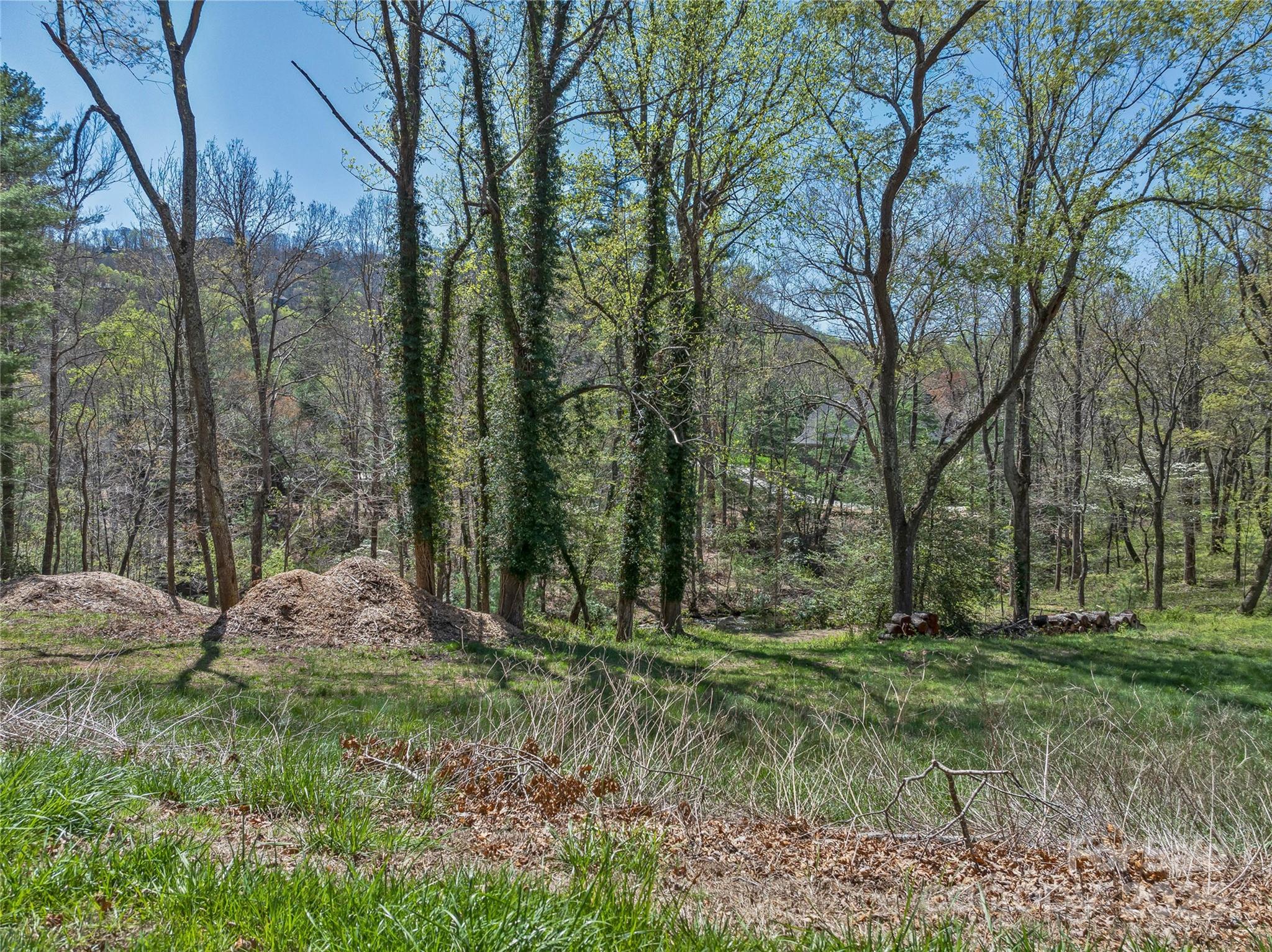 99999 Misty Valley Parkway