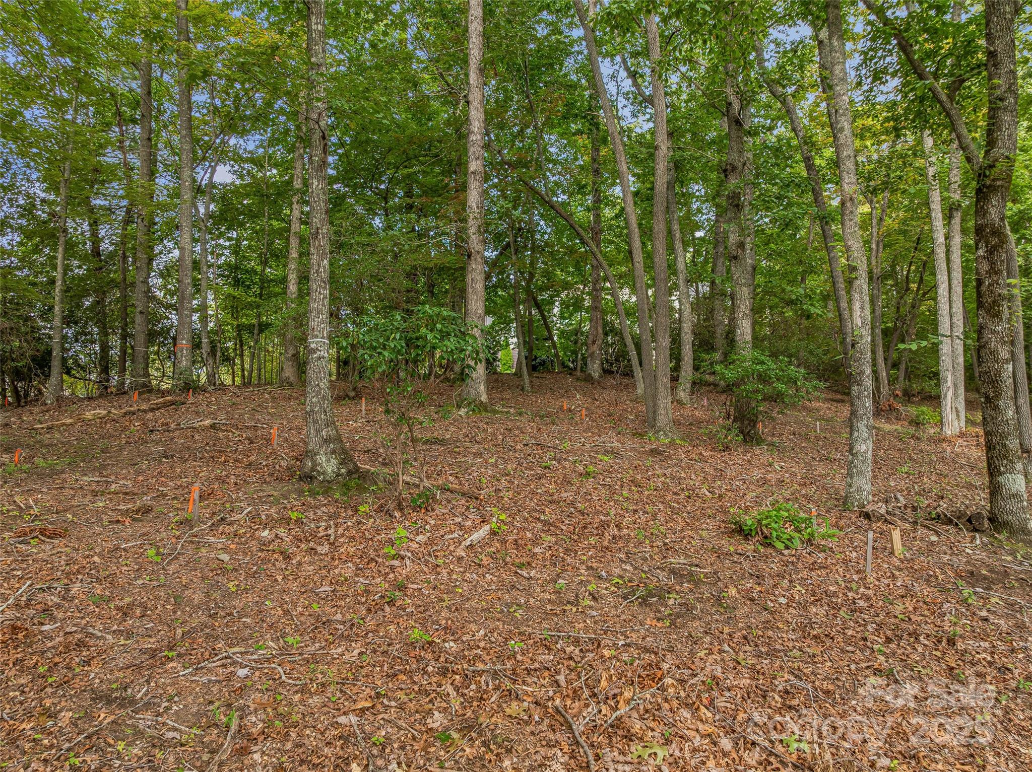 565 Walnut Valley Parkway Unit: 158