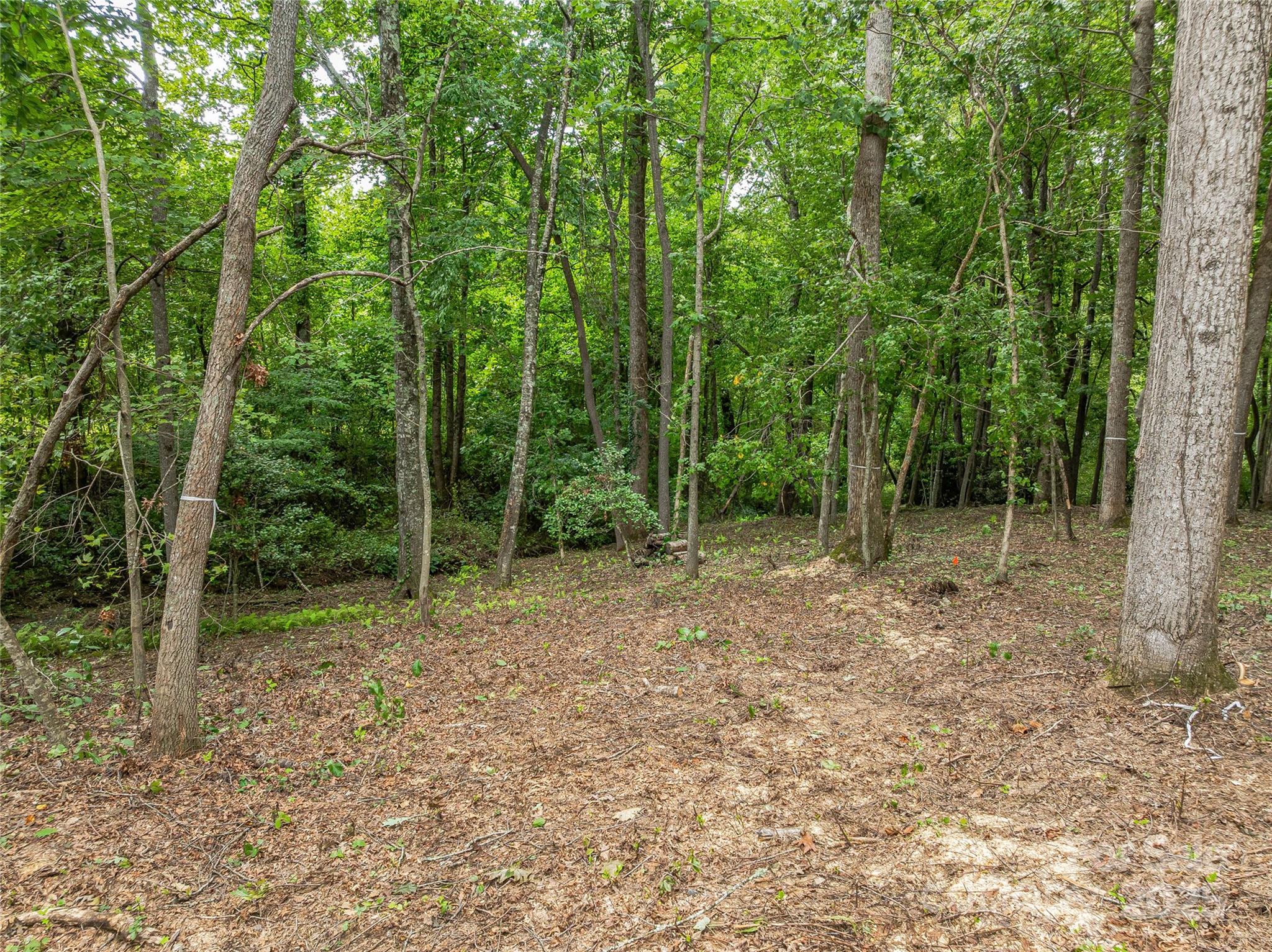 644 Walnut Valley Parkway