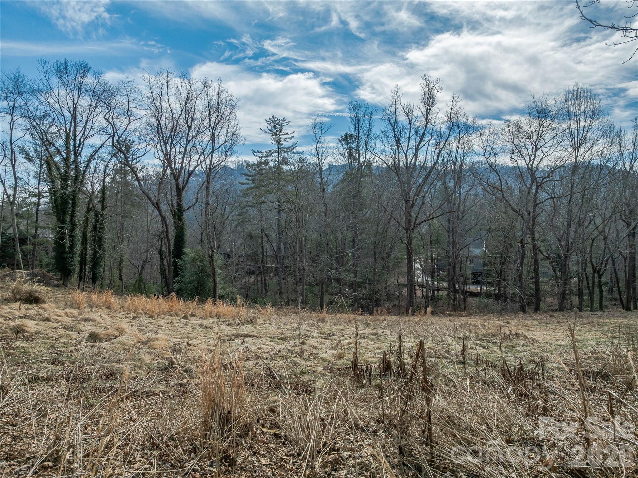 99999 Running Creek Trail