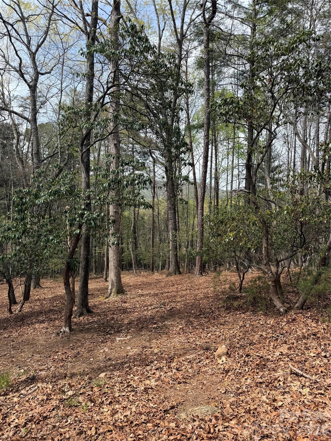 1553 Country View Way