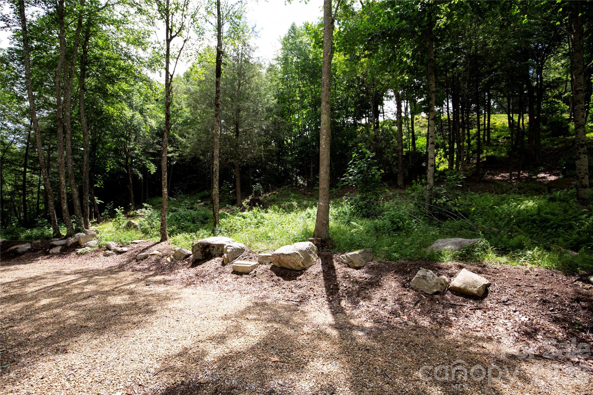 WR 29 Sierra Trail Unit: 29