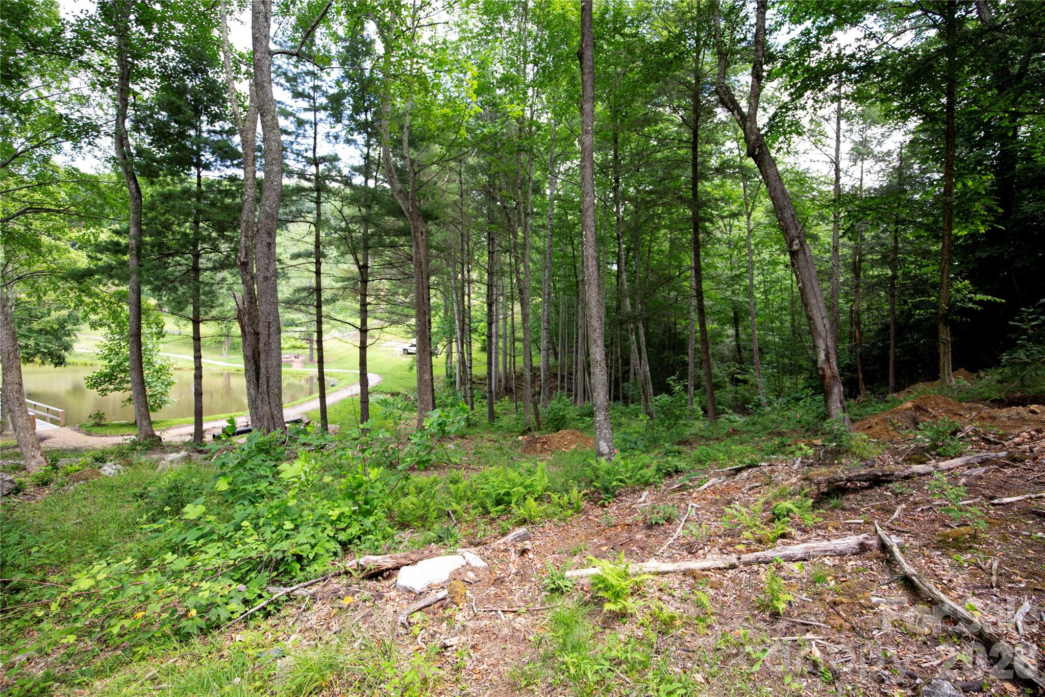 WR 29 Sierra Trail Unit: 29
