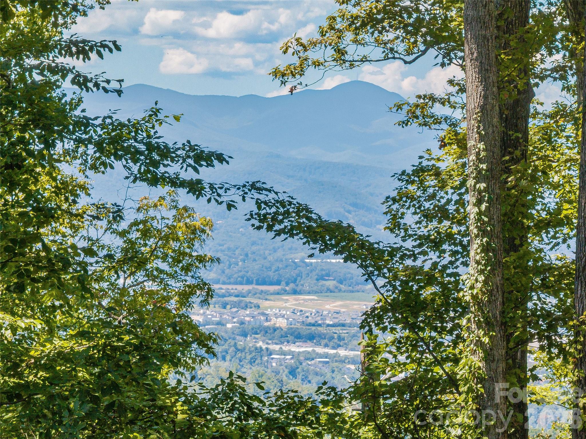 Mountain and valley view framed by trees, with a town and fields below.