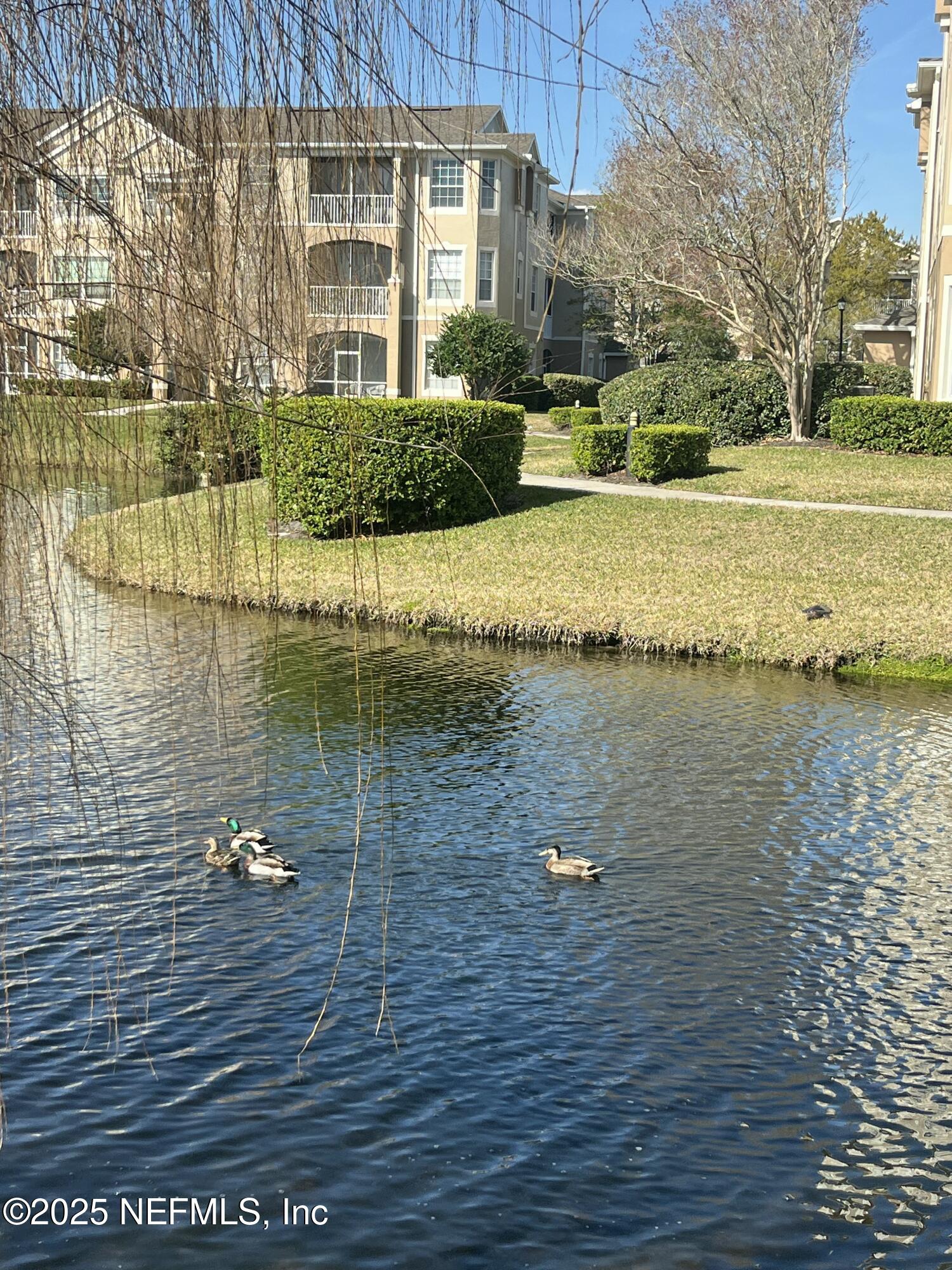 7990 BAYMEADOWS Road E, 907