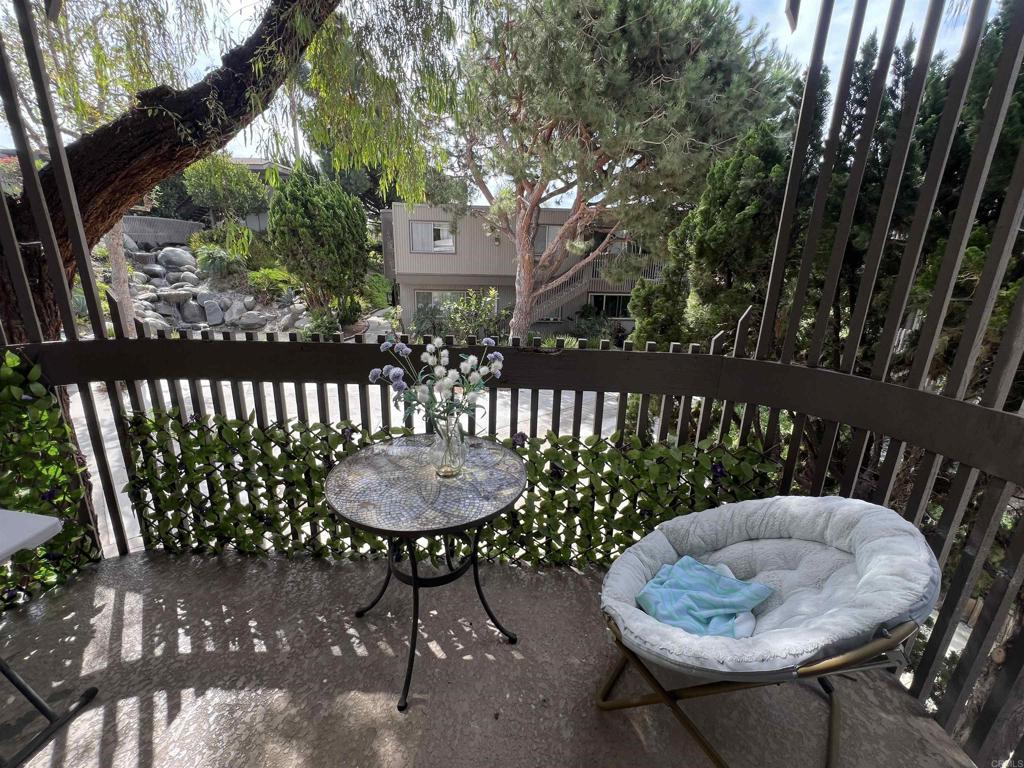 155 Rosebay Drive 37