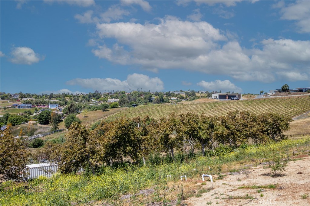 3863 Flowerwood Lane