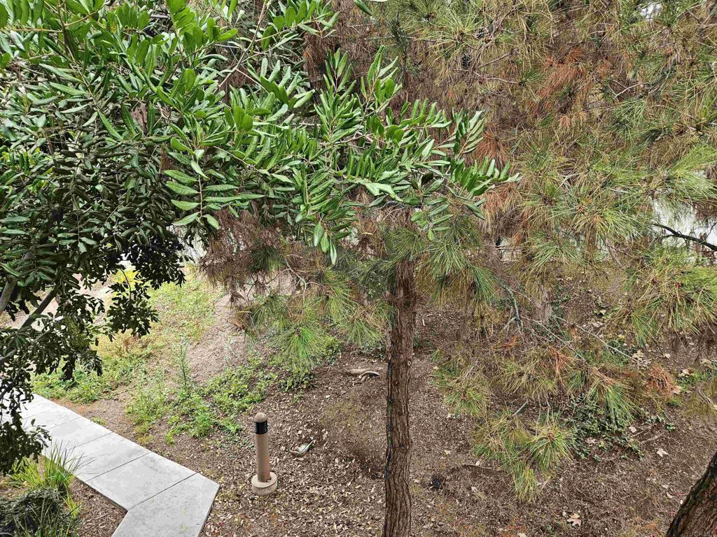 4558 Northern Moon Way