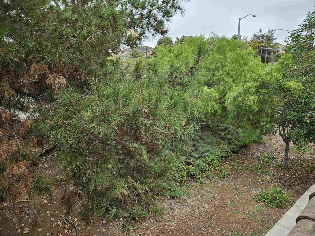 4558 Northern Moon Way