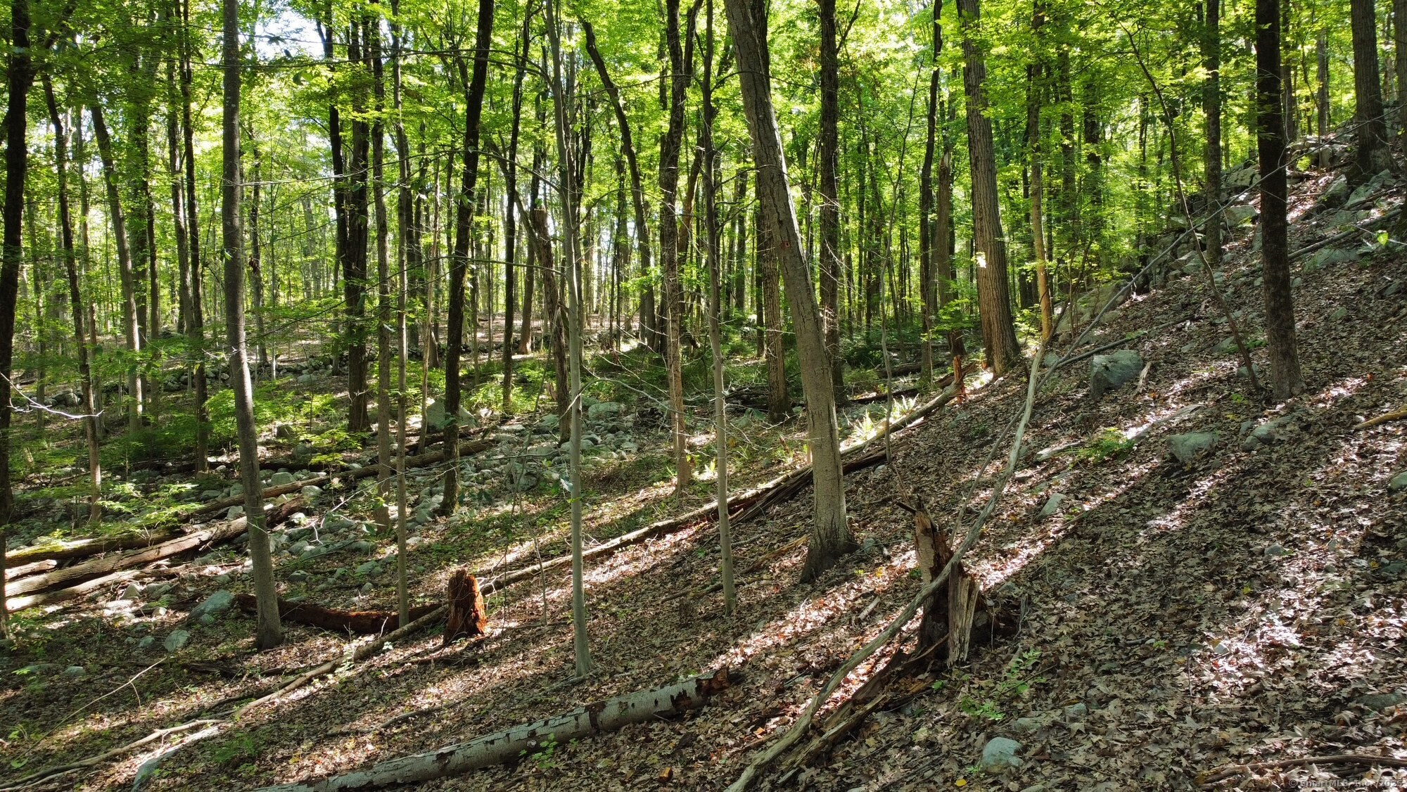 106 Graenest Ridge Road