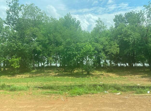 656 Sunny Landing Trail