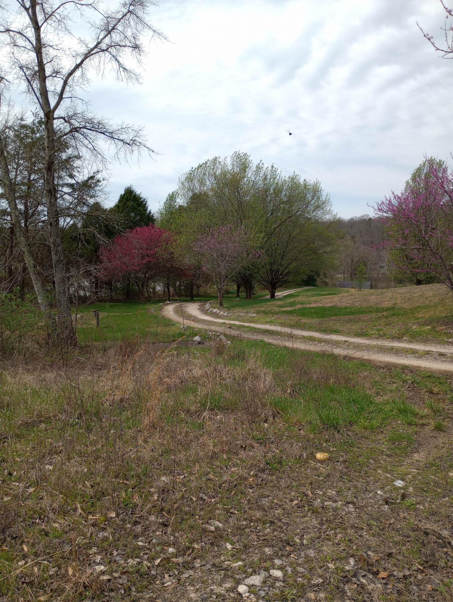 1500 Black Creek Road