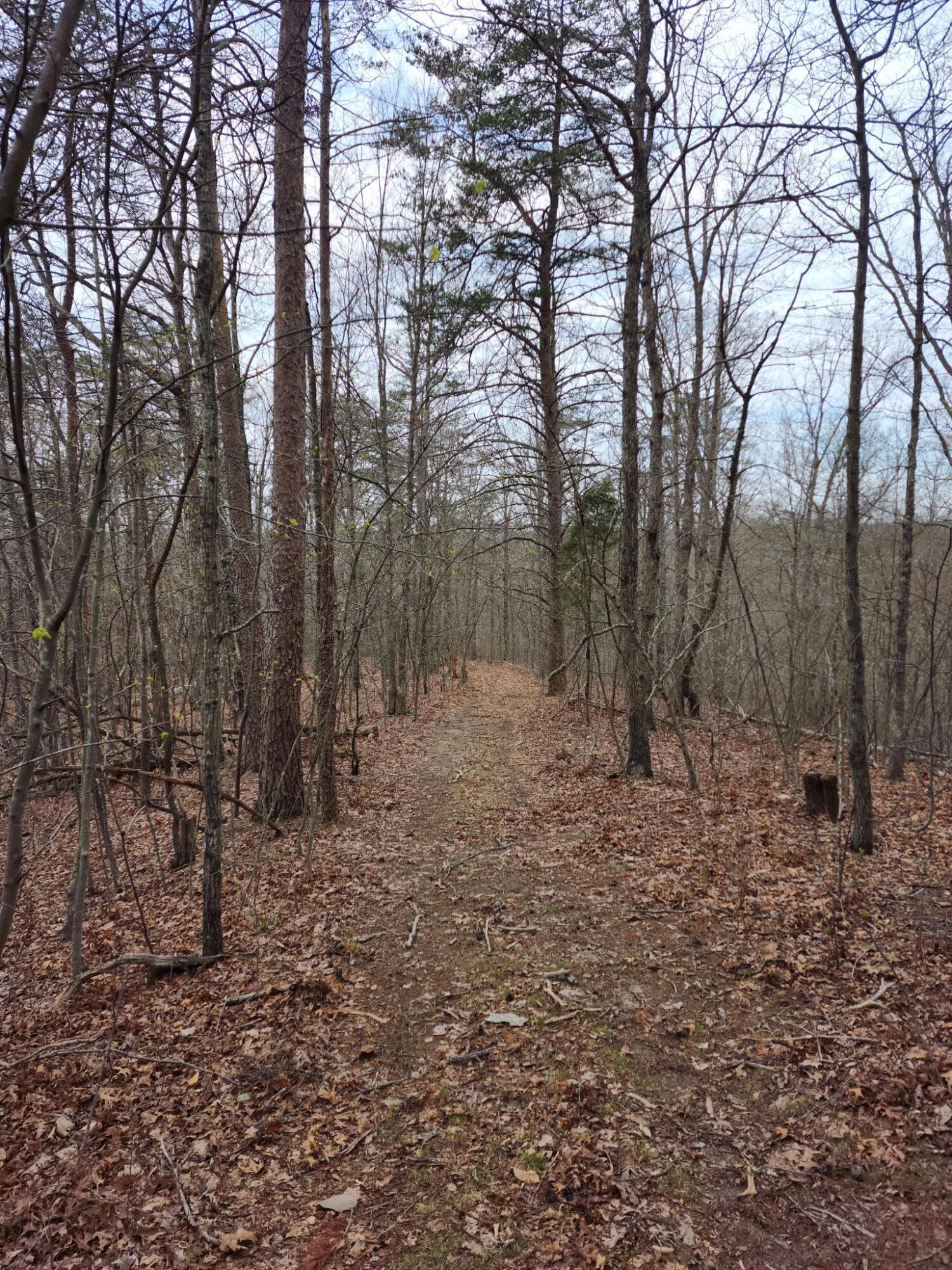 1500 Black Creek Road
