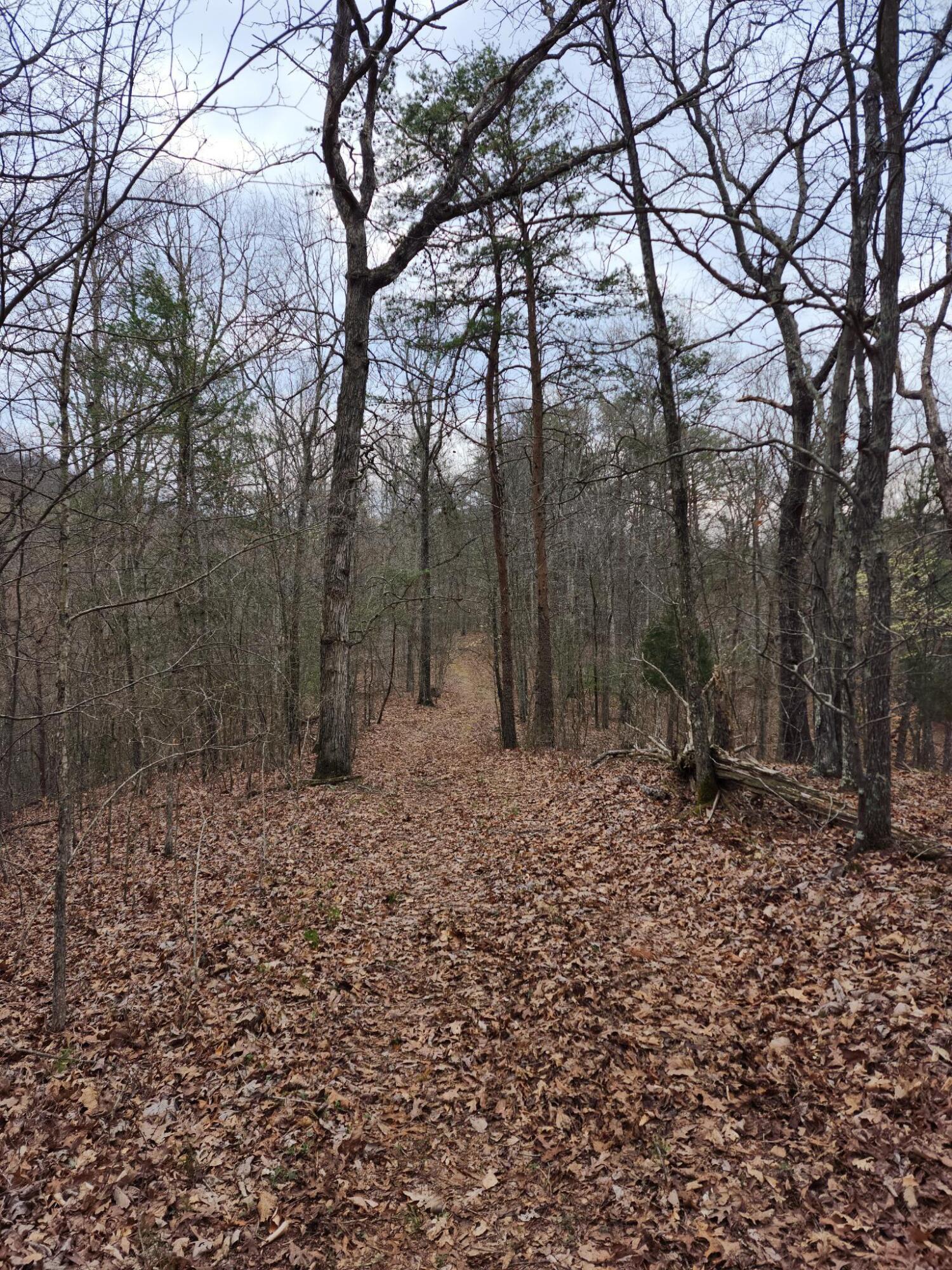 1500 Black Creek Road