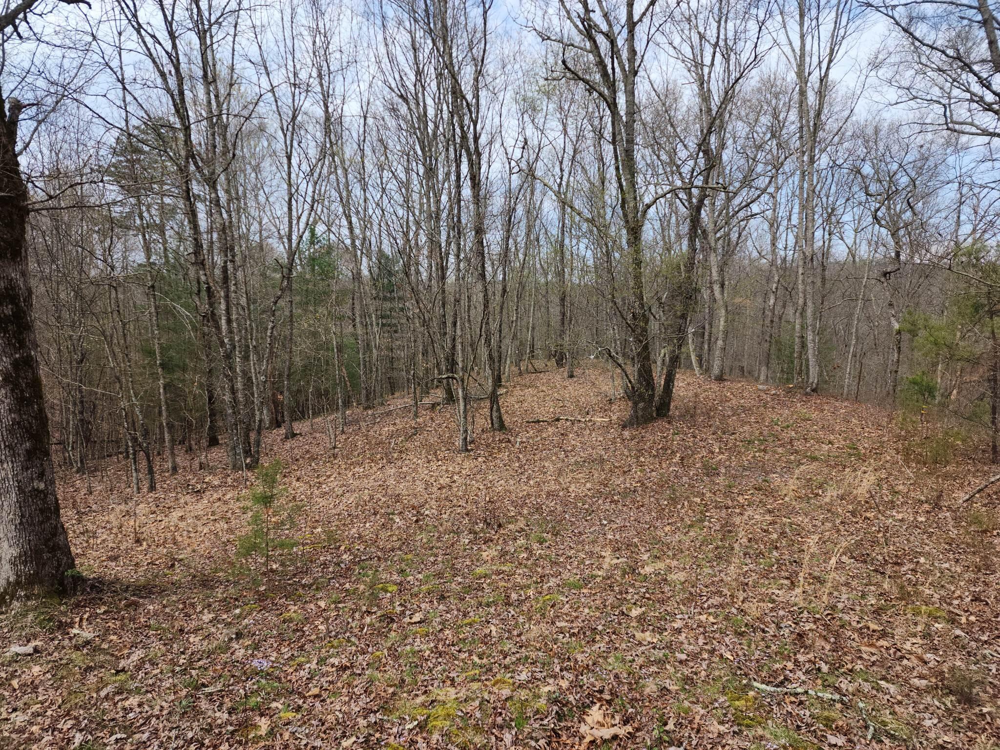 1500 Black Creek Road