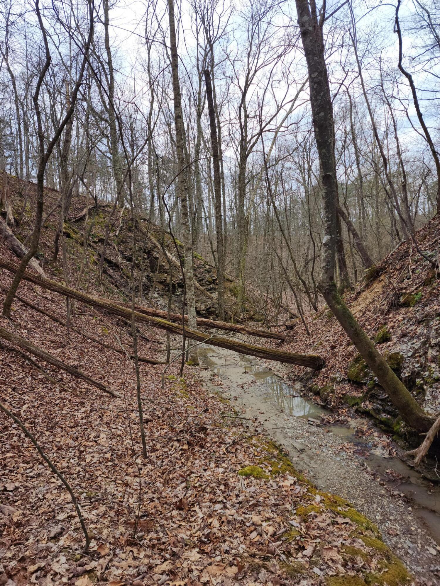 1500 Black Creek Road