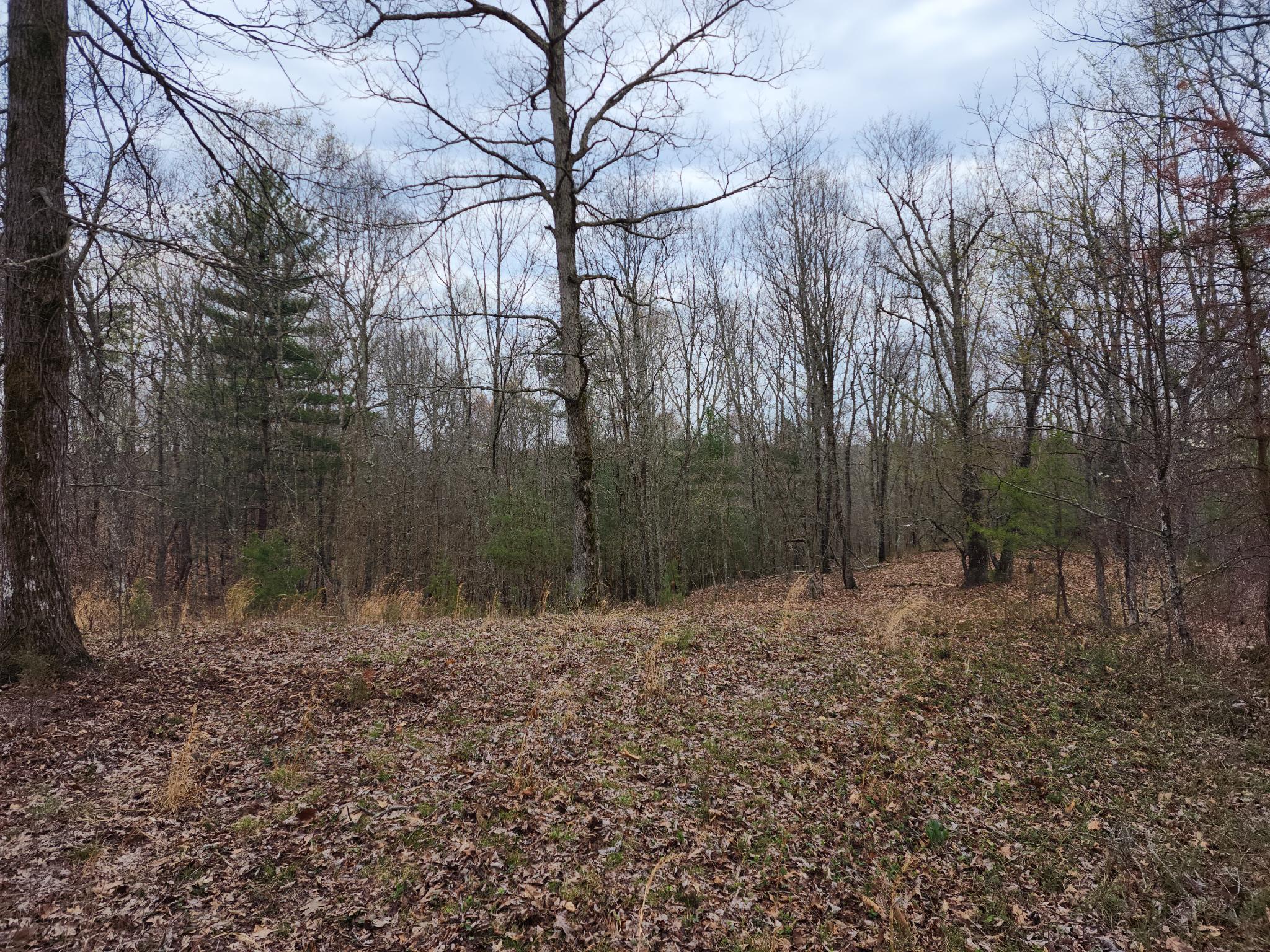 1500 Black Creek Road