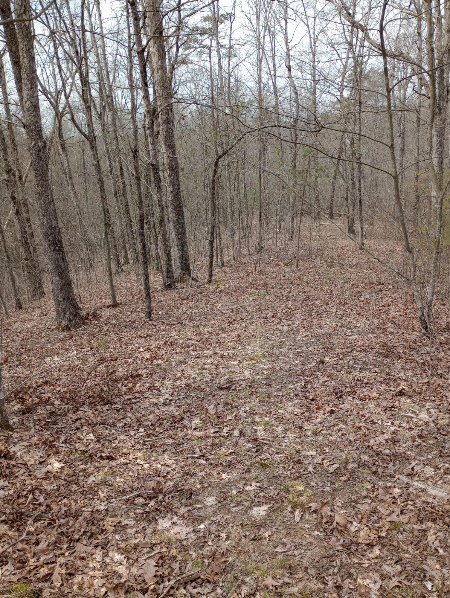 1500 Black Creek Road