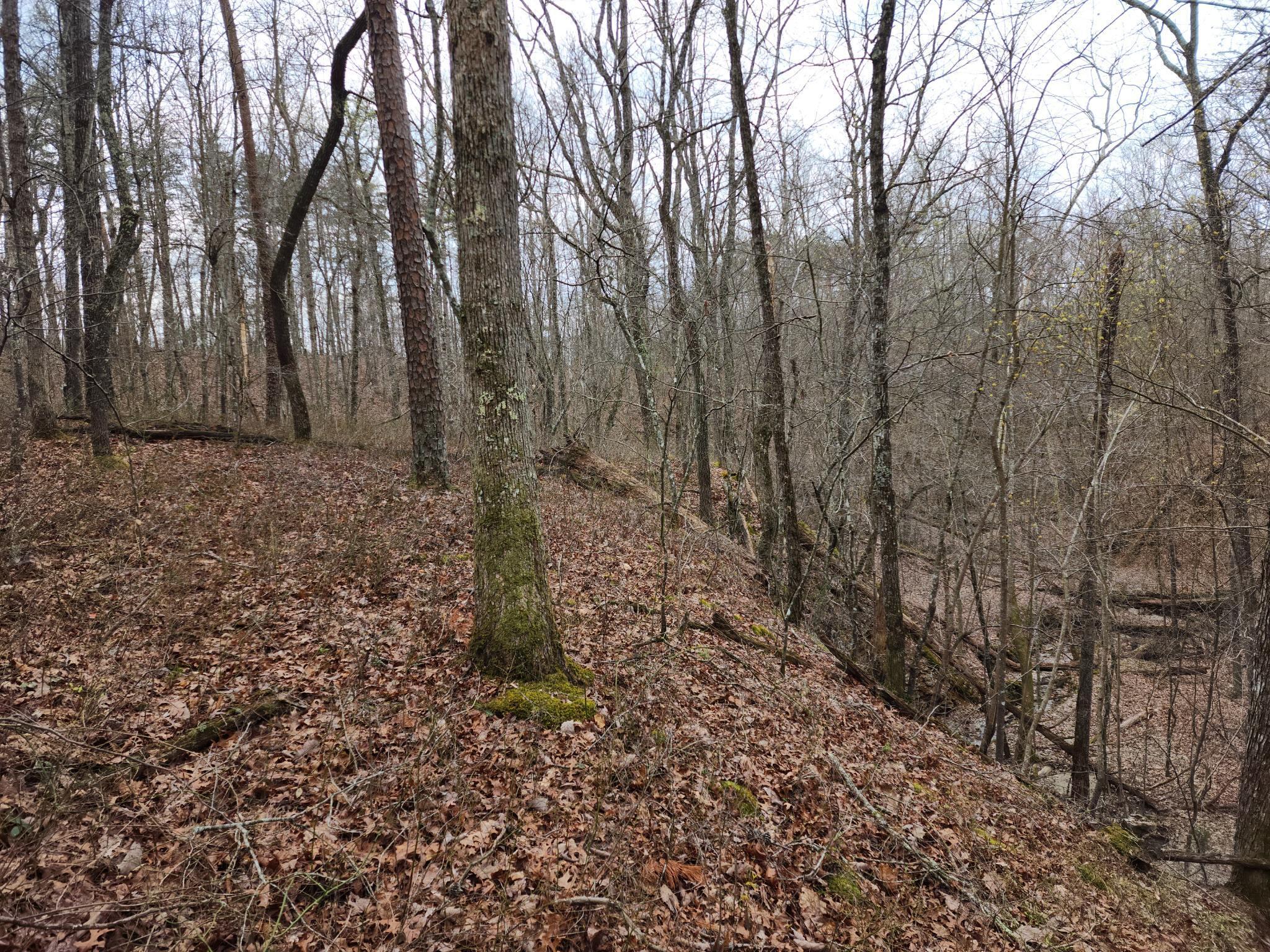 1500 Black Creek Road