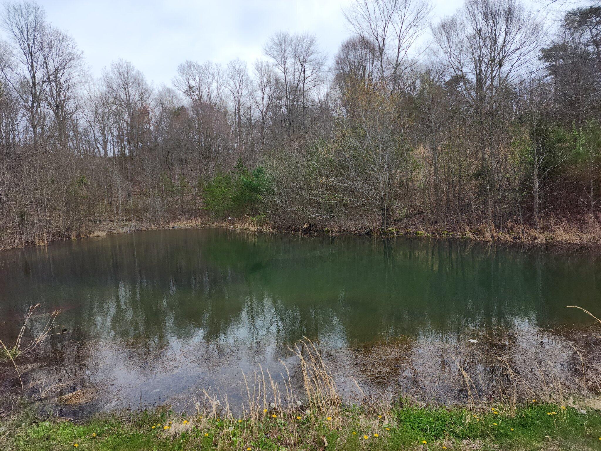 1500 Black Creek Road