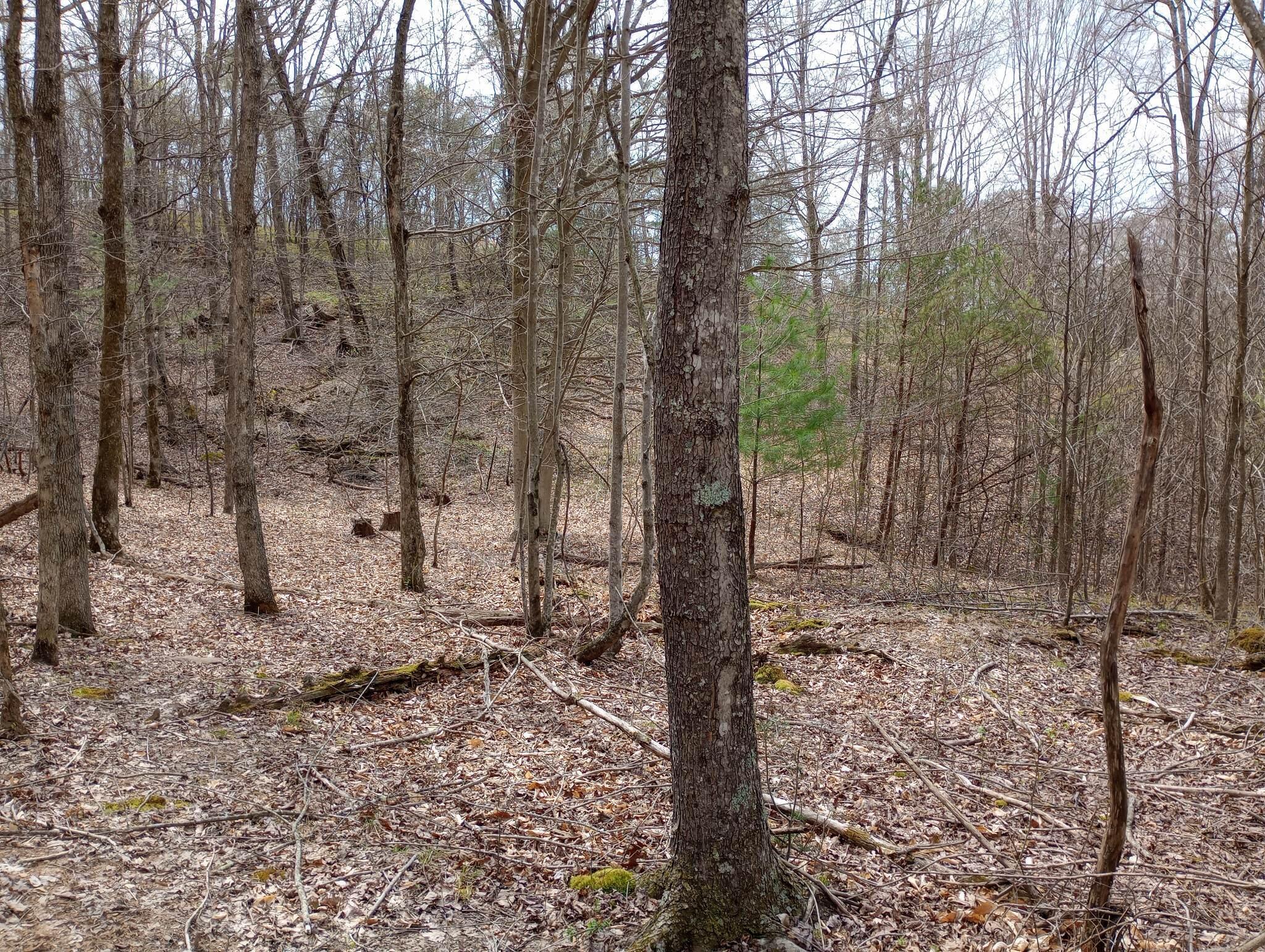 1500 Black Creek Road