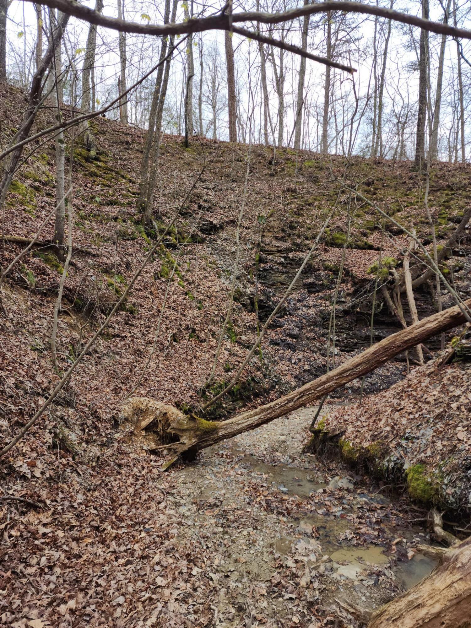 1500 Black Creek Road