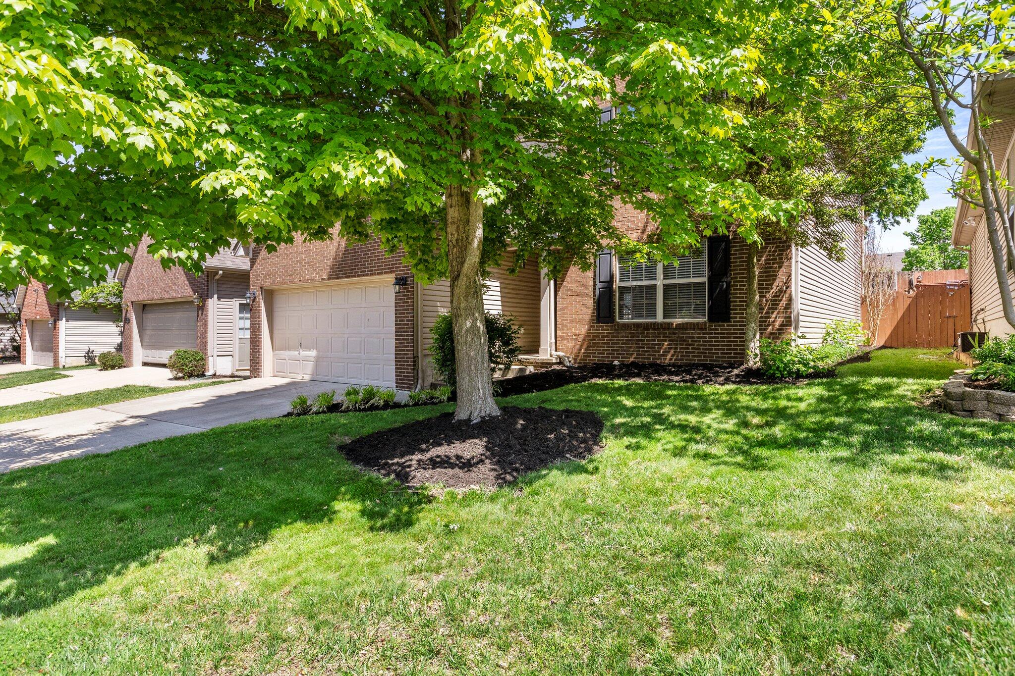 585 Skyview Lane