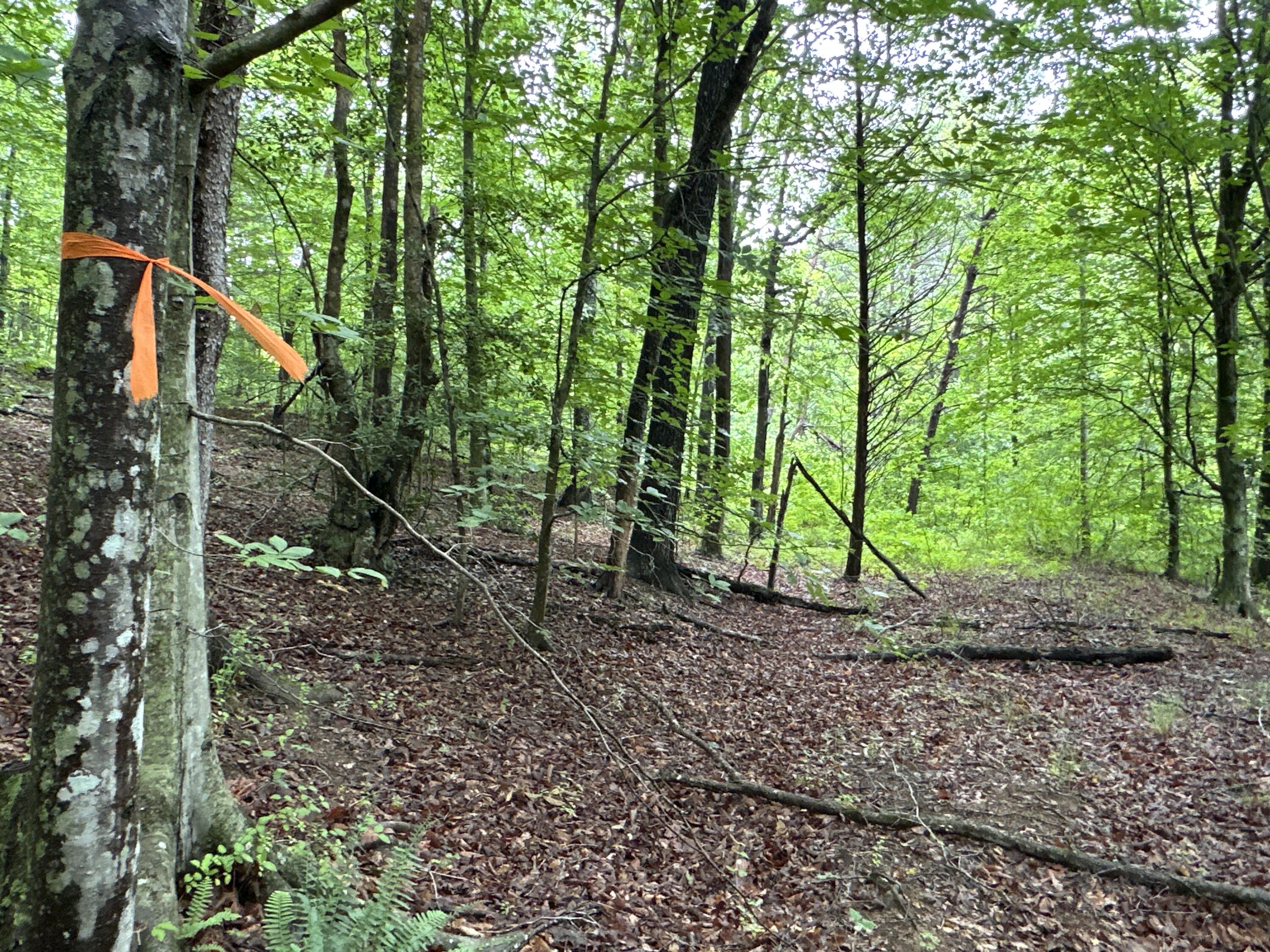 0 Puckett Bend