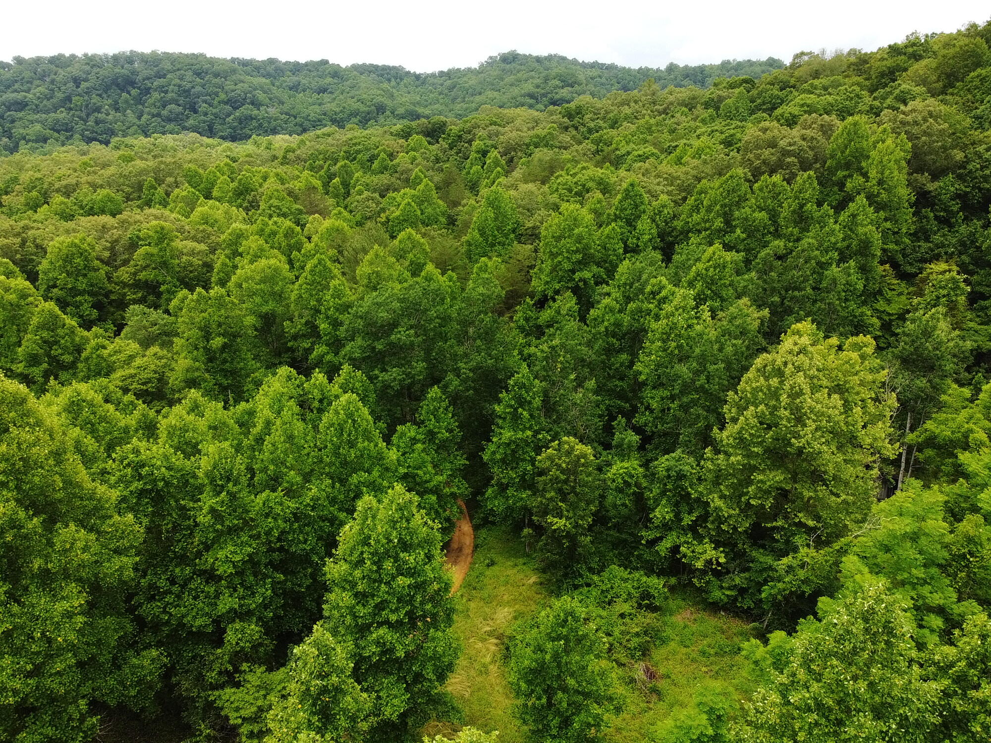 0 Puckett Bend