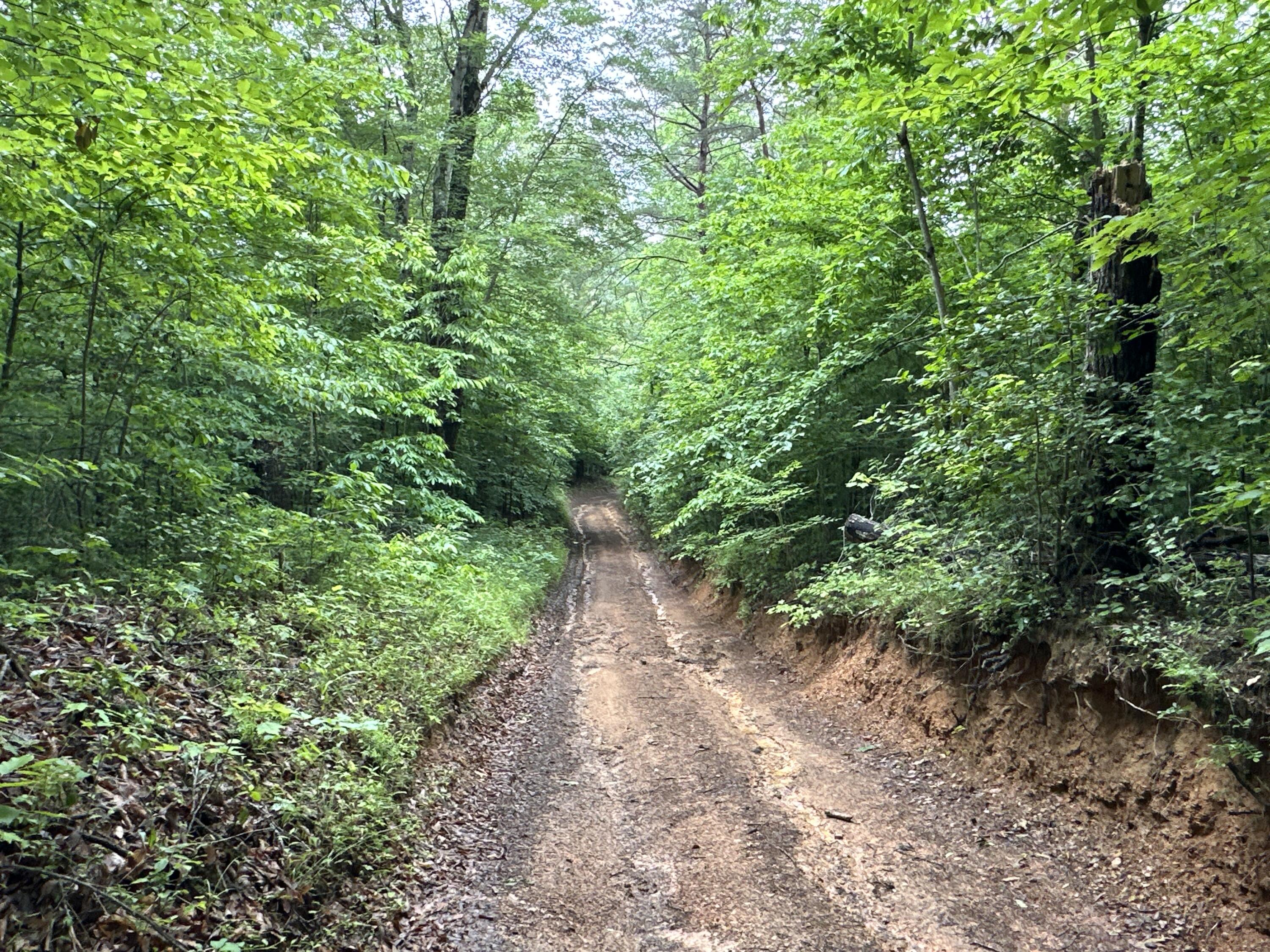 0 Puckett Bend