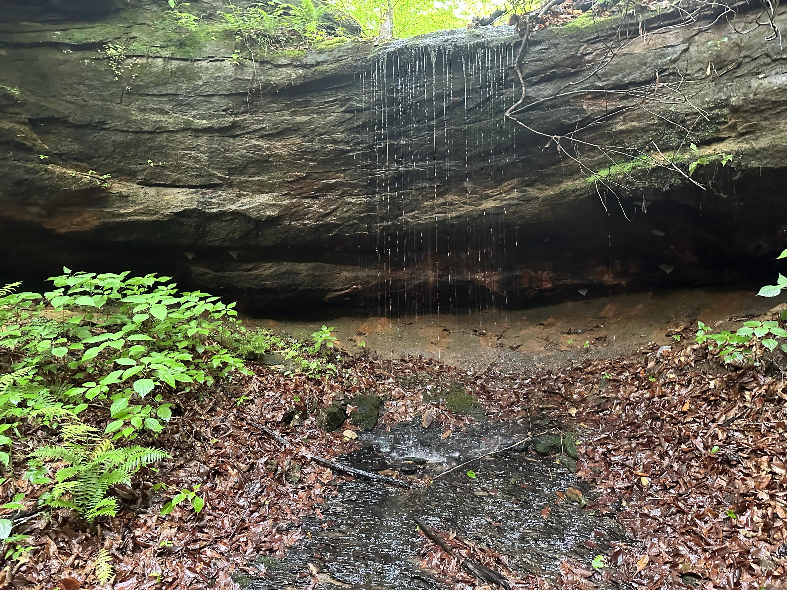 0 Puckett Bend