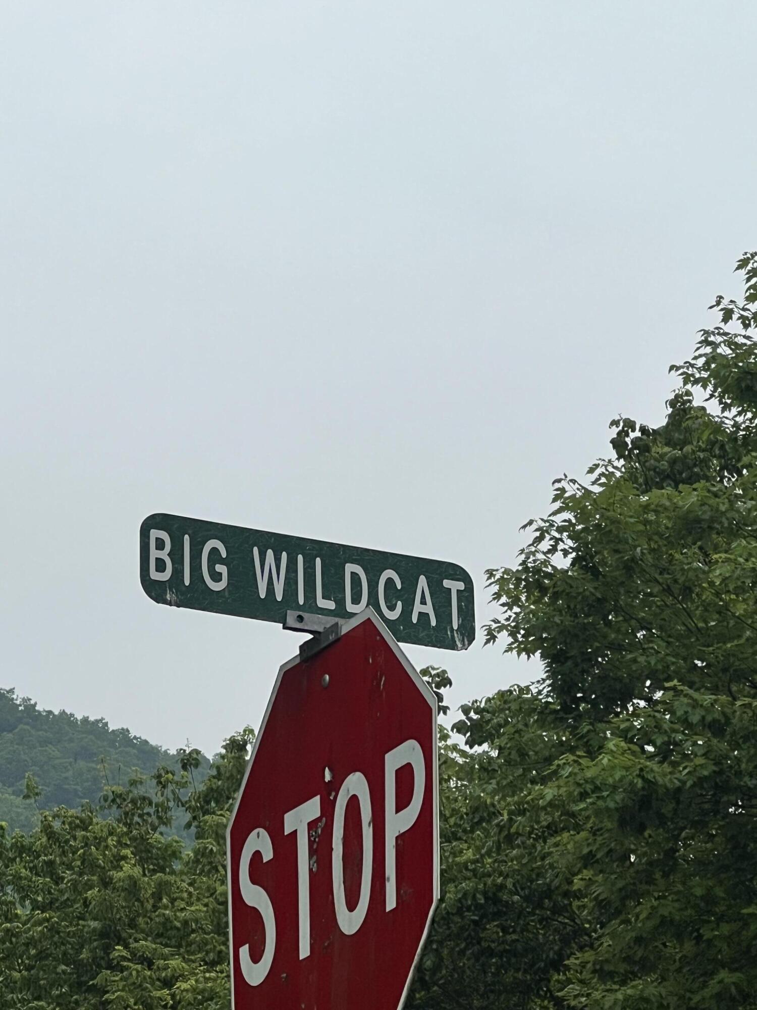 9991 Big Wildcat rd