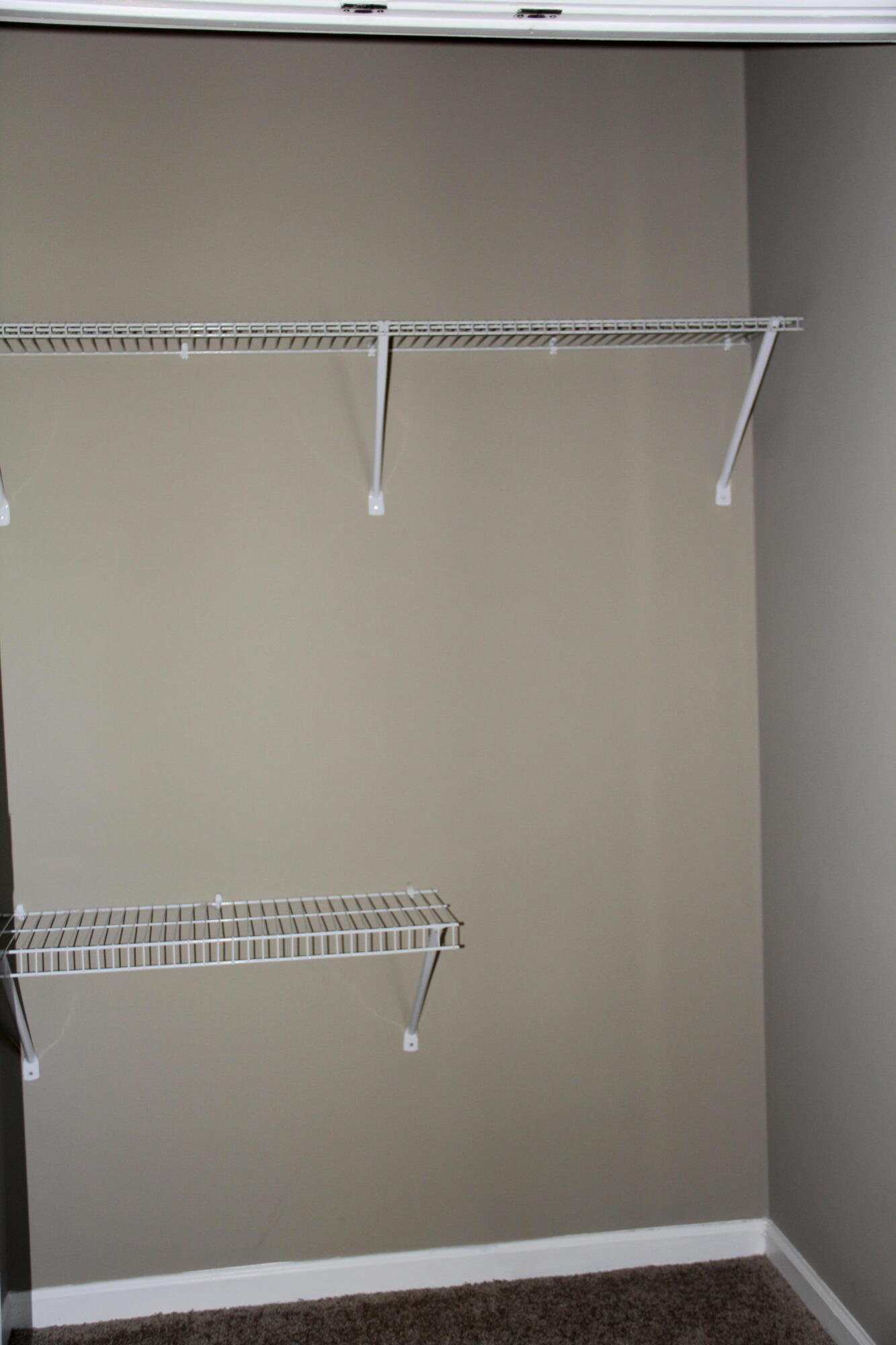 3824 Kittiwake Drive