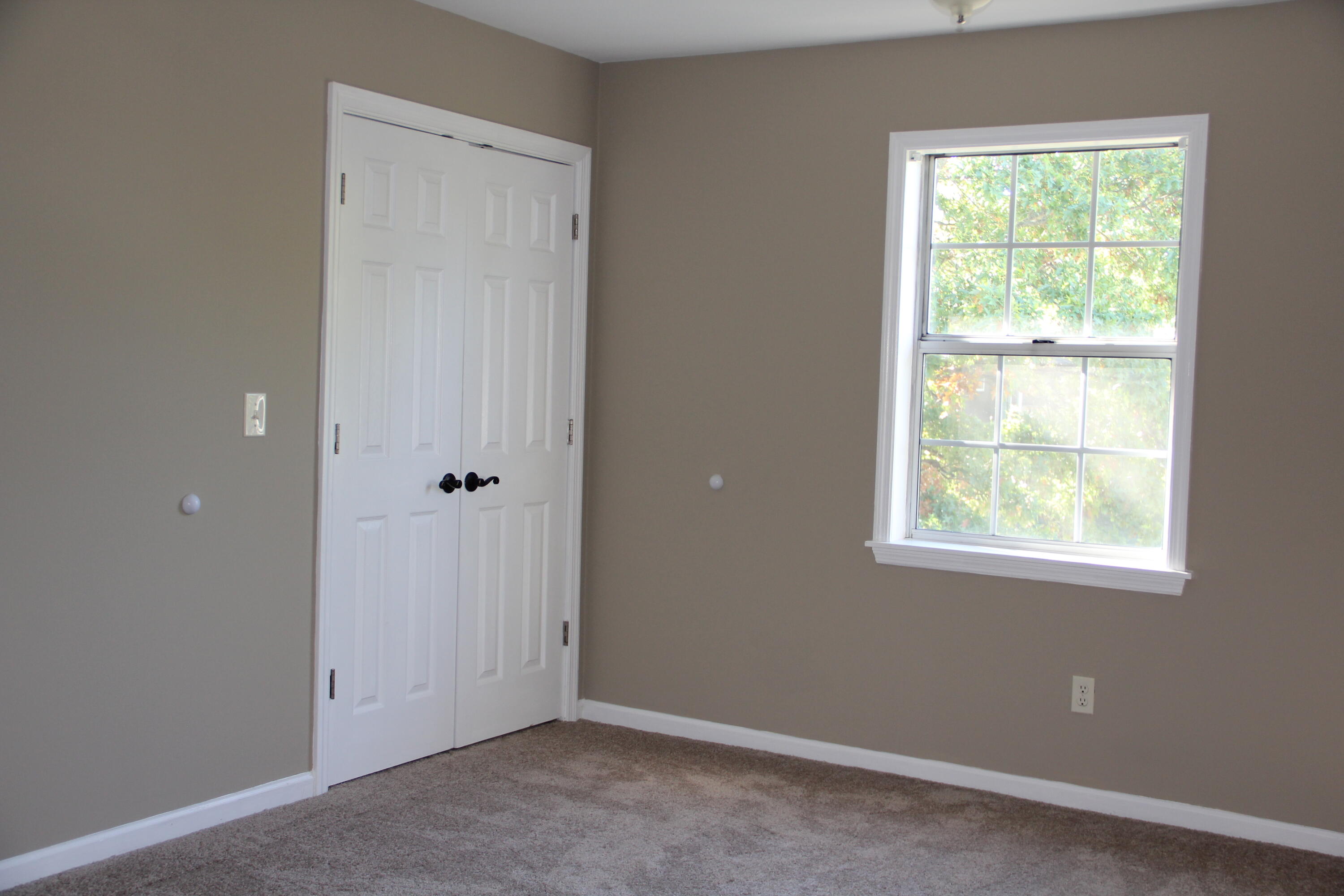 3824 Kittiwake Drive