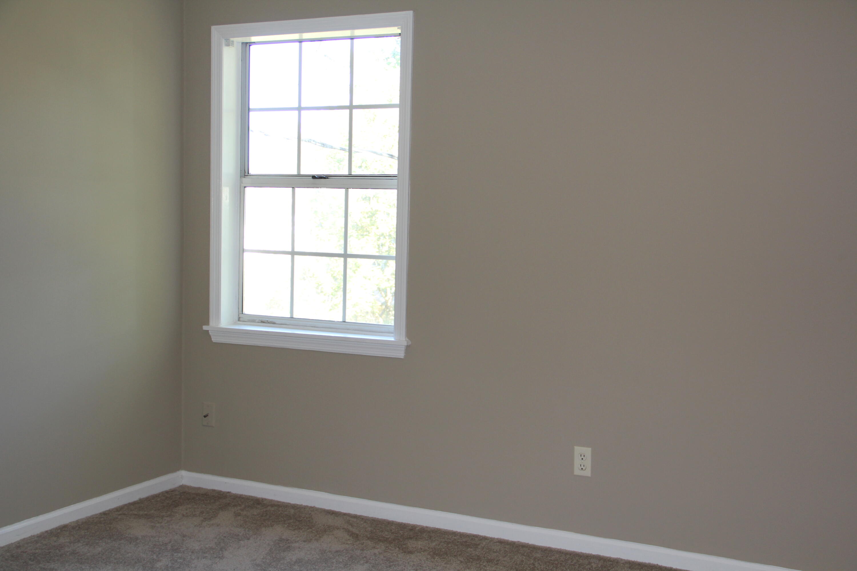 3824 Kittiwake Drive