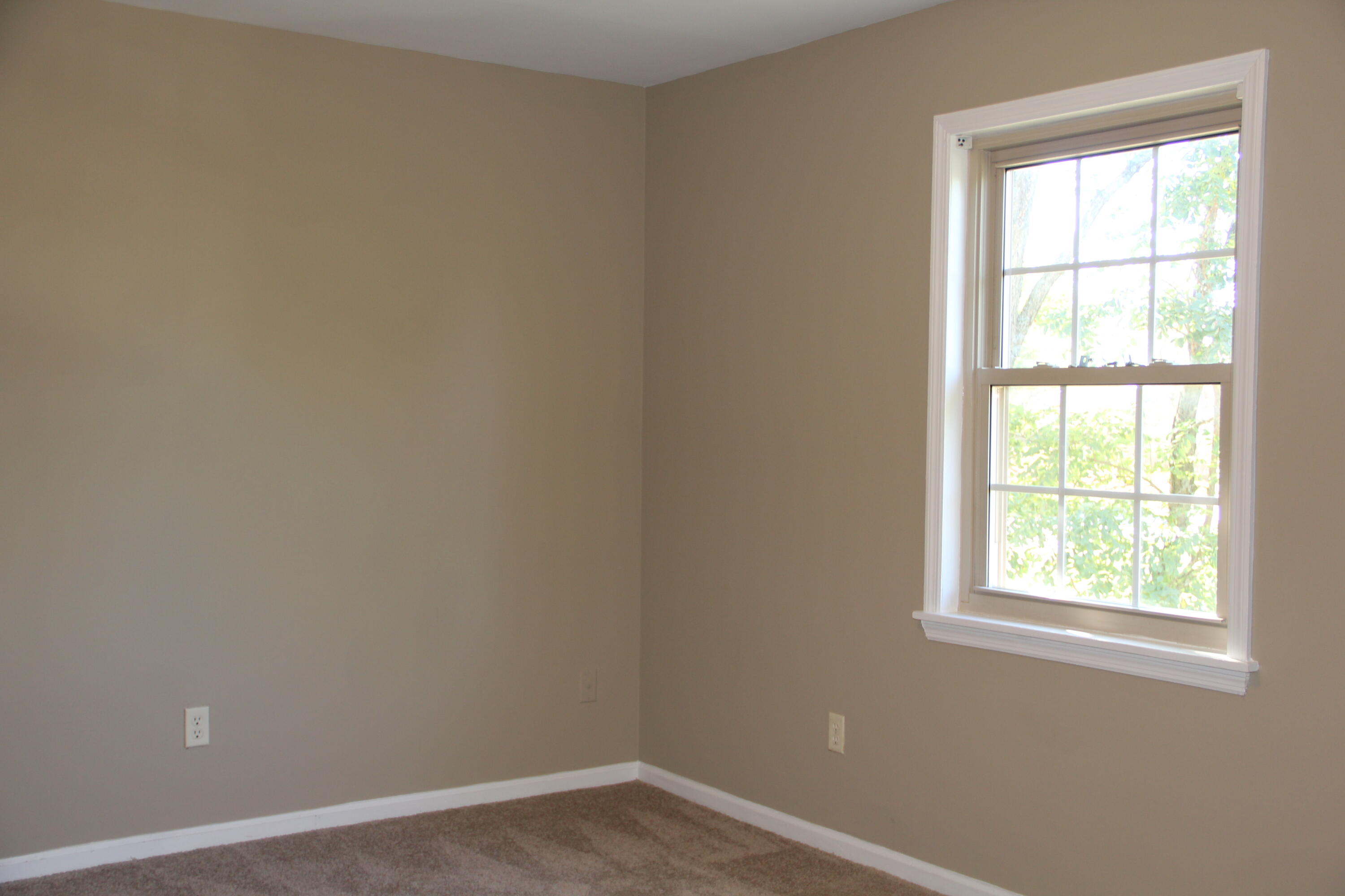 3824 Kittiwake Drive