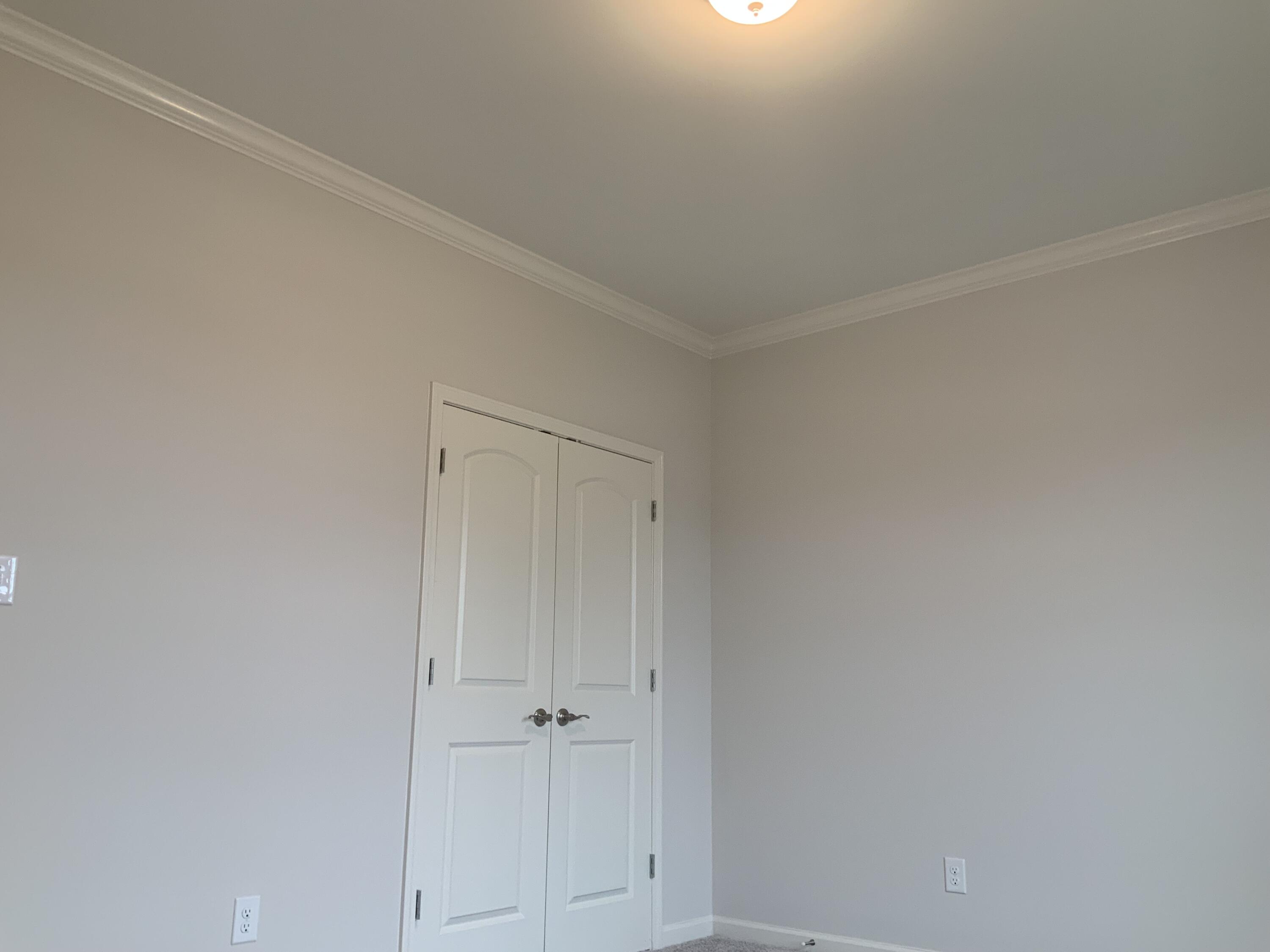 100 Little Leaf Drive