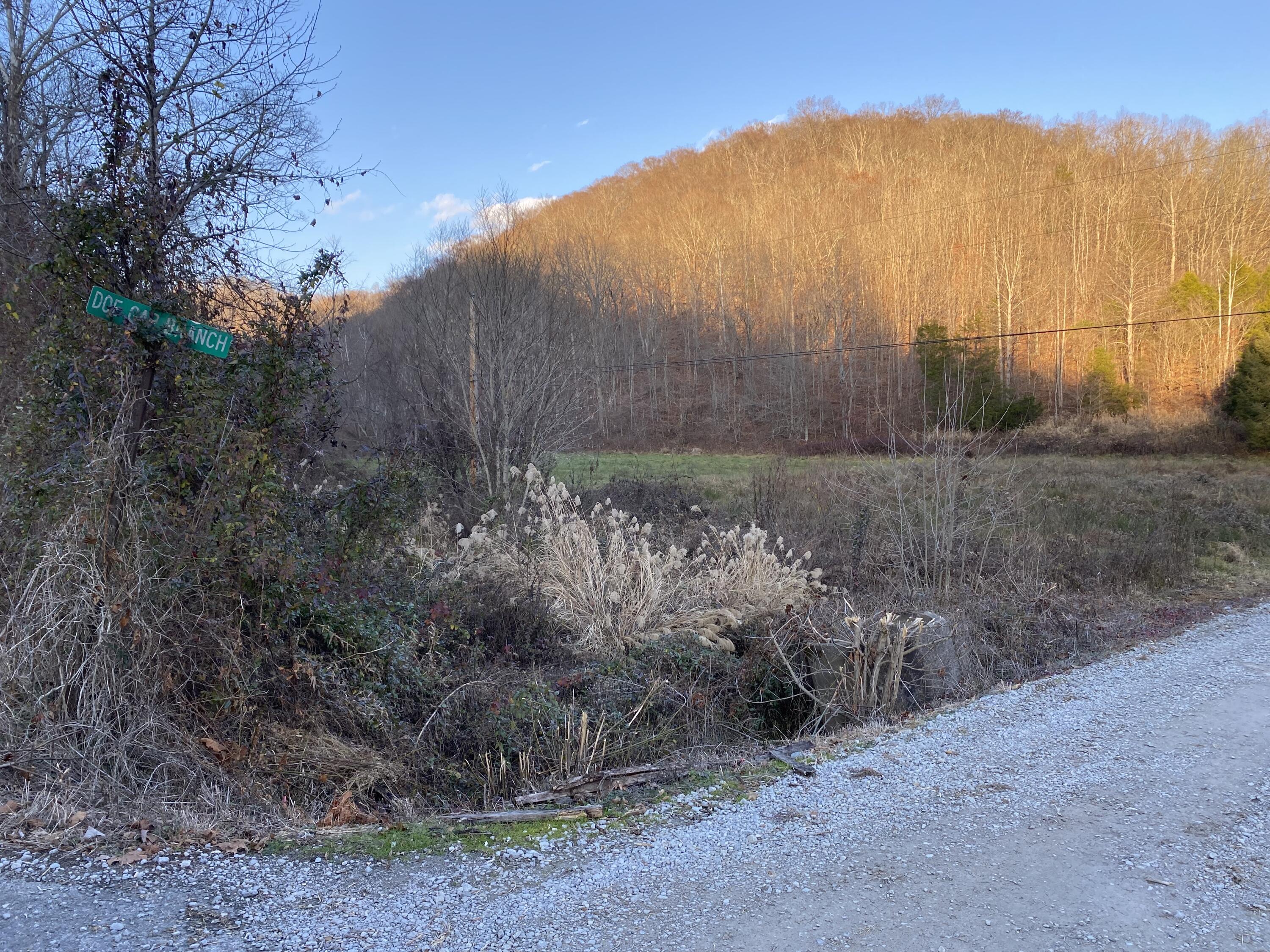 101 Doe Gap Branch Road