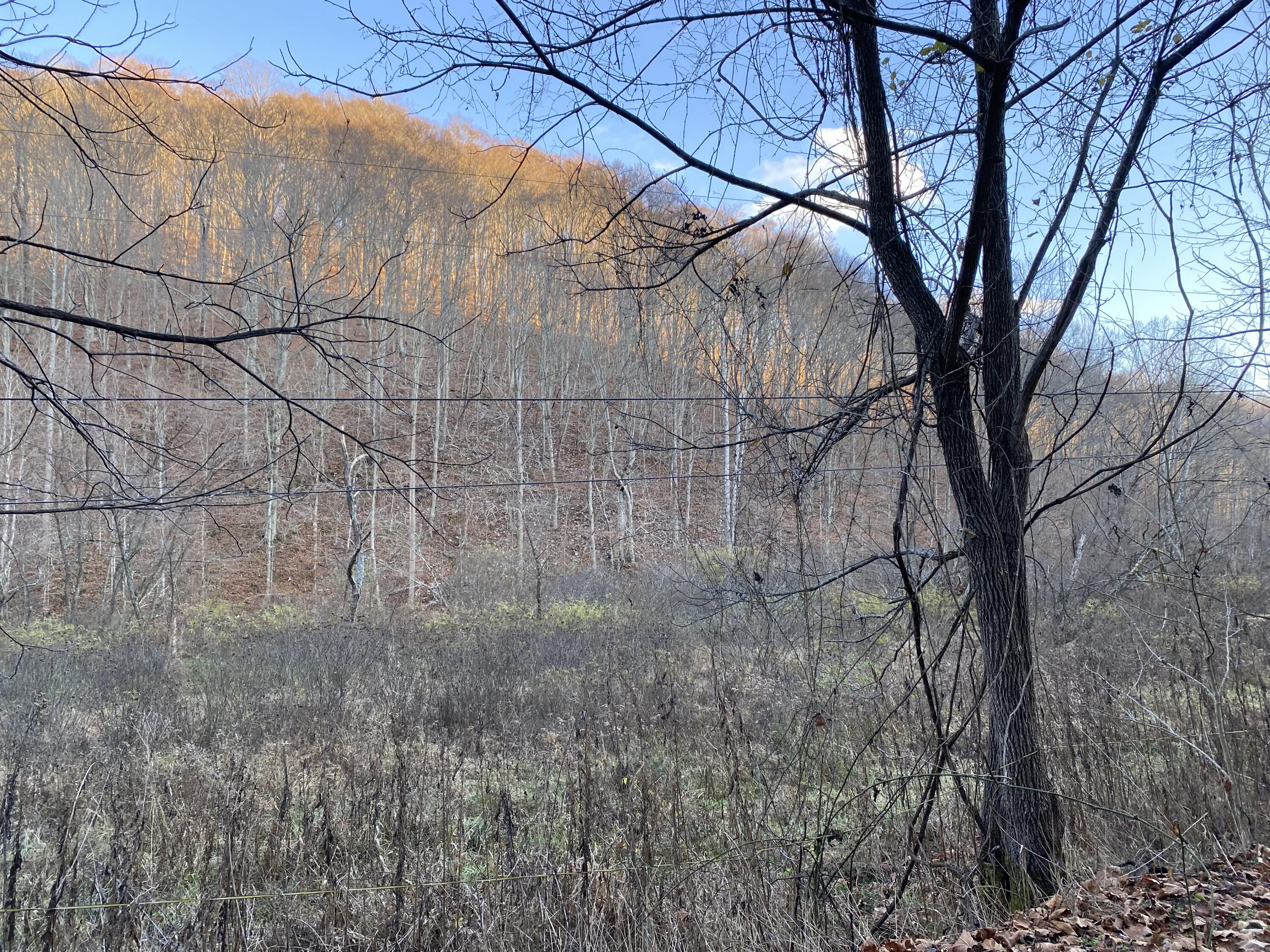 101 Doe Gap Branch Road
