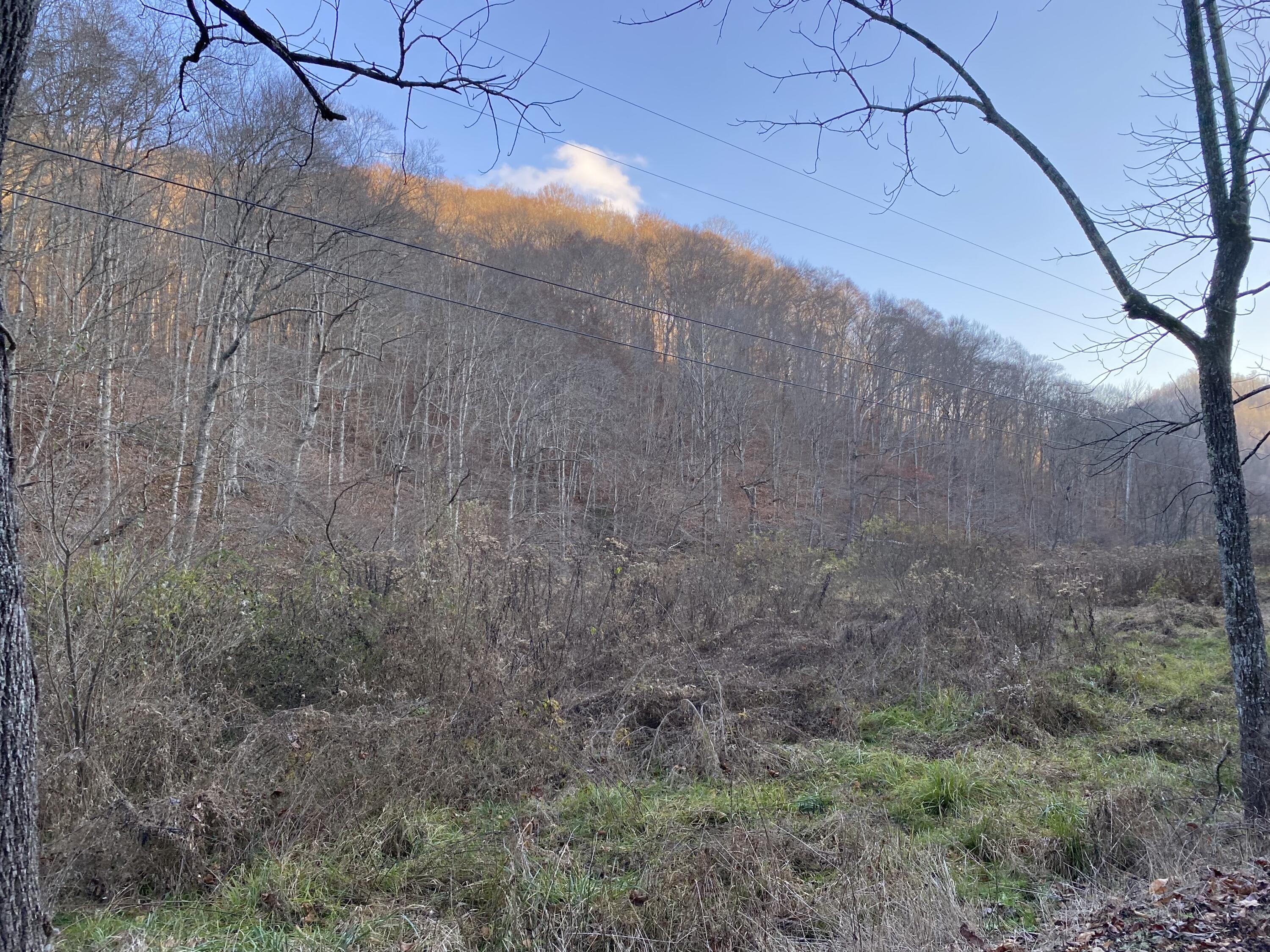 101 Doe Gap Branch Road