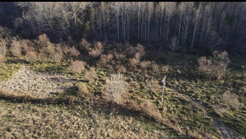 101 Doe Gap Branch Road