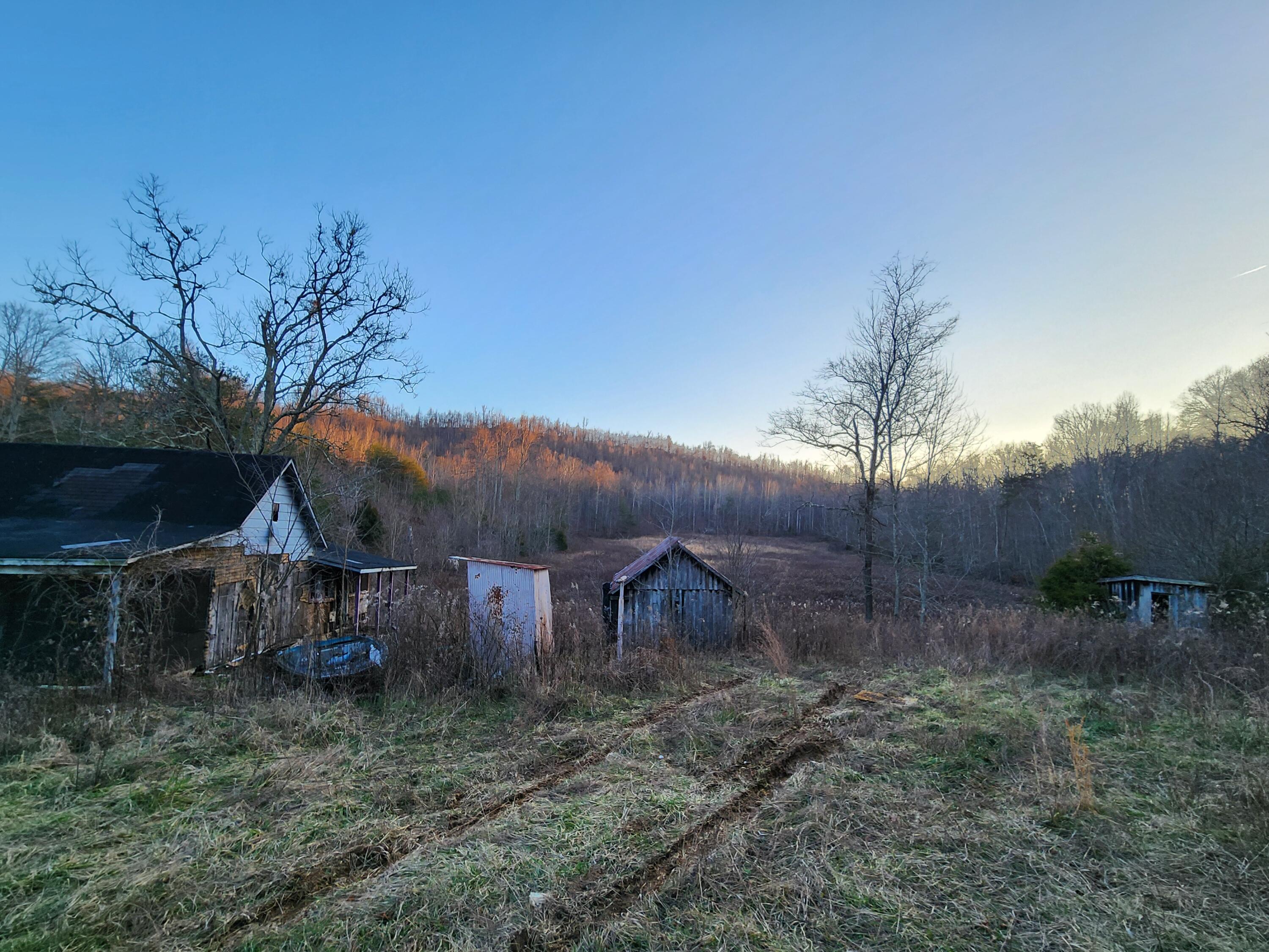 262 Persimmon Lane