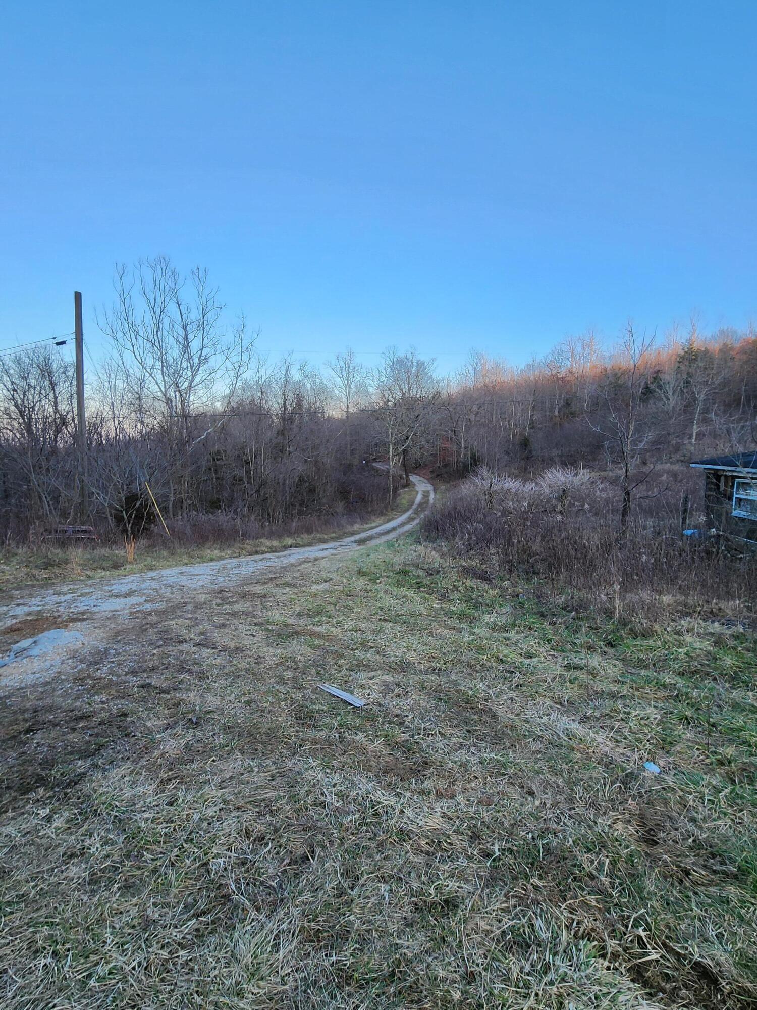 262 Persimmon Lane