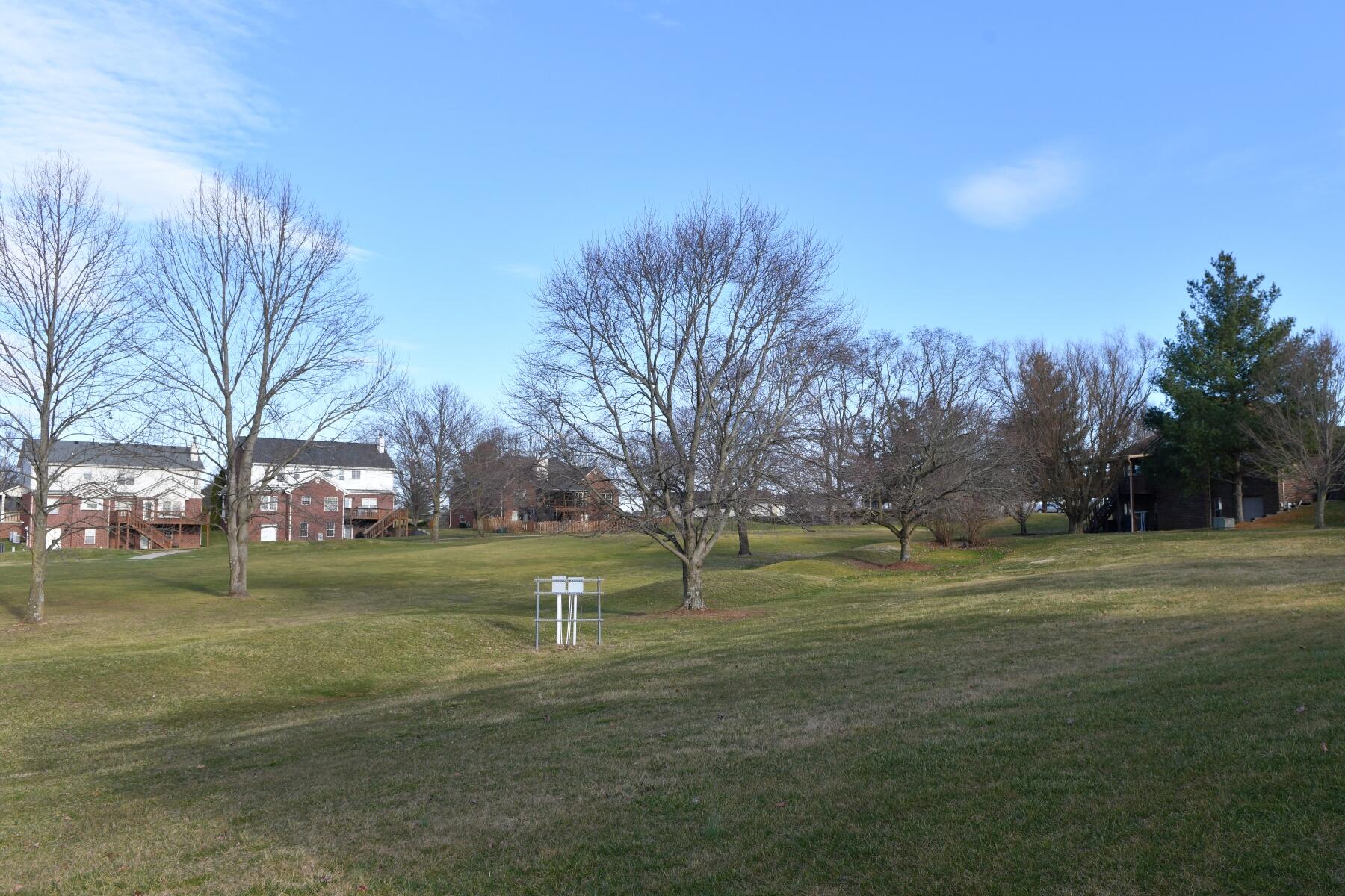 106 Raes Creek Court