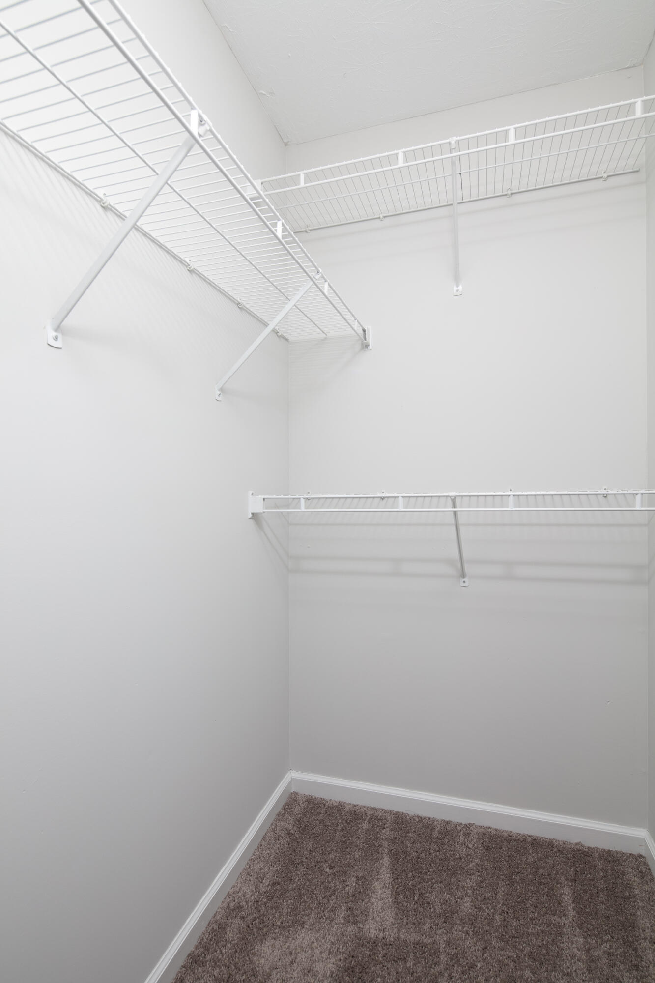 664 Danby Woods Drive