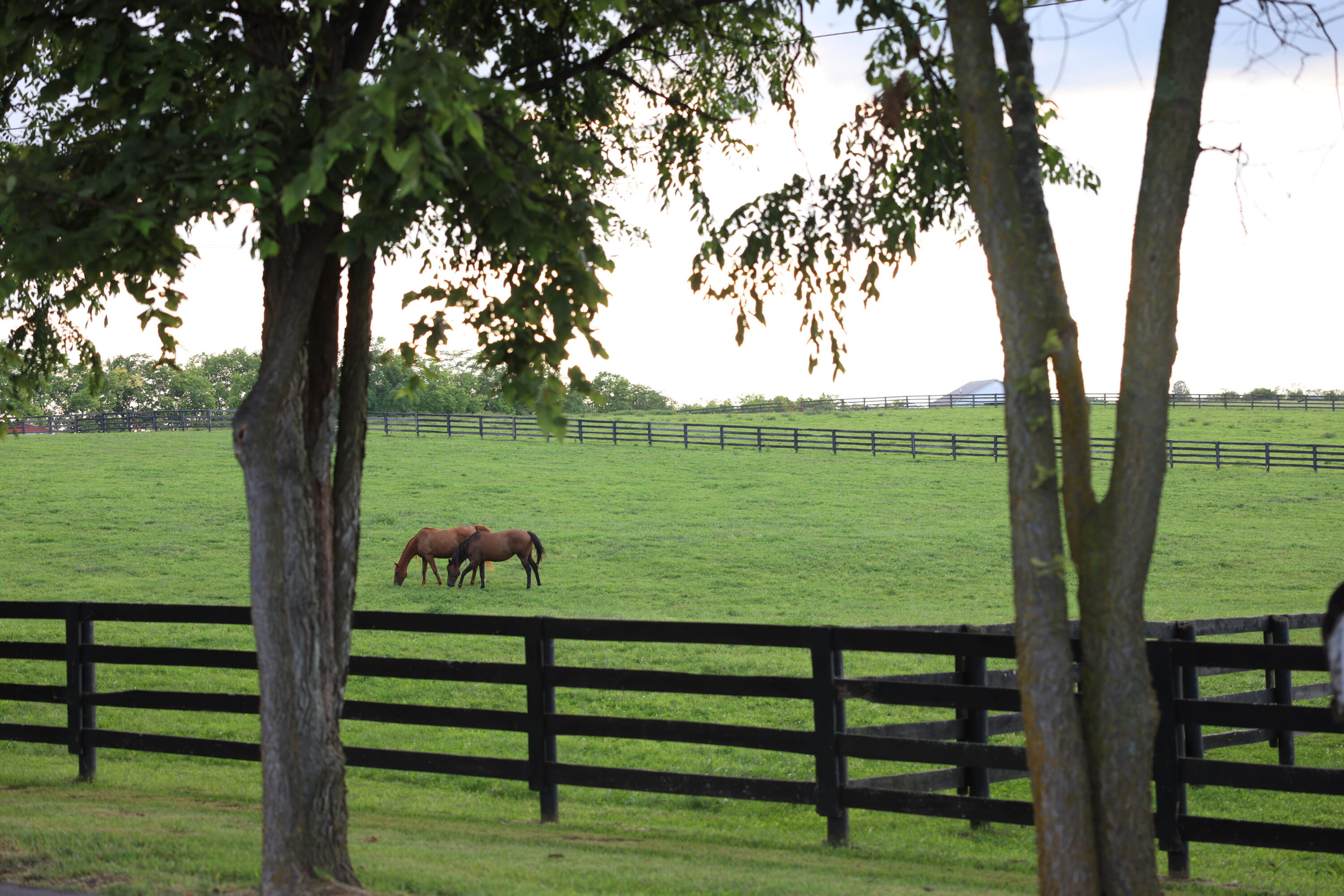 1776 Keene Troy Pike