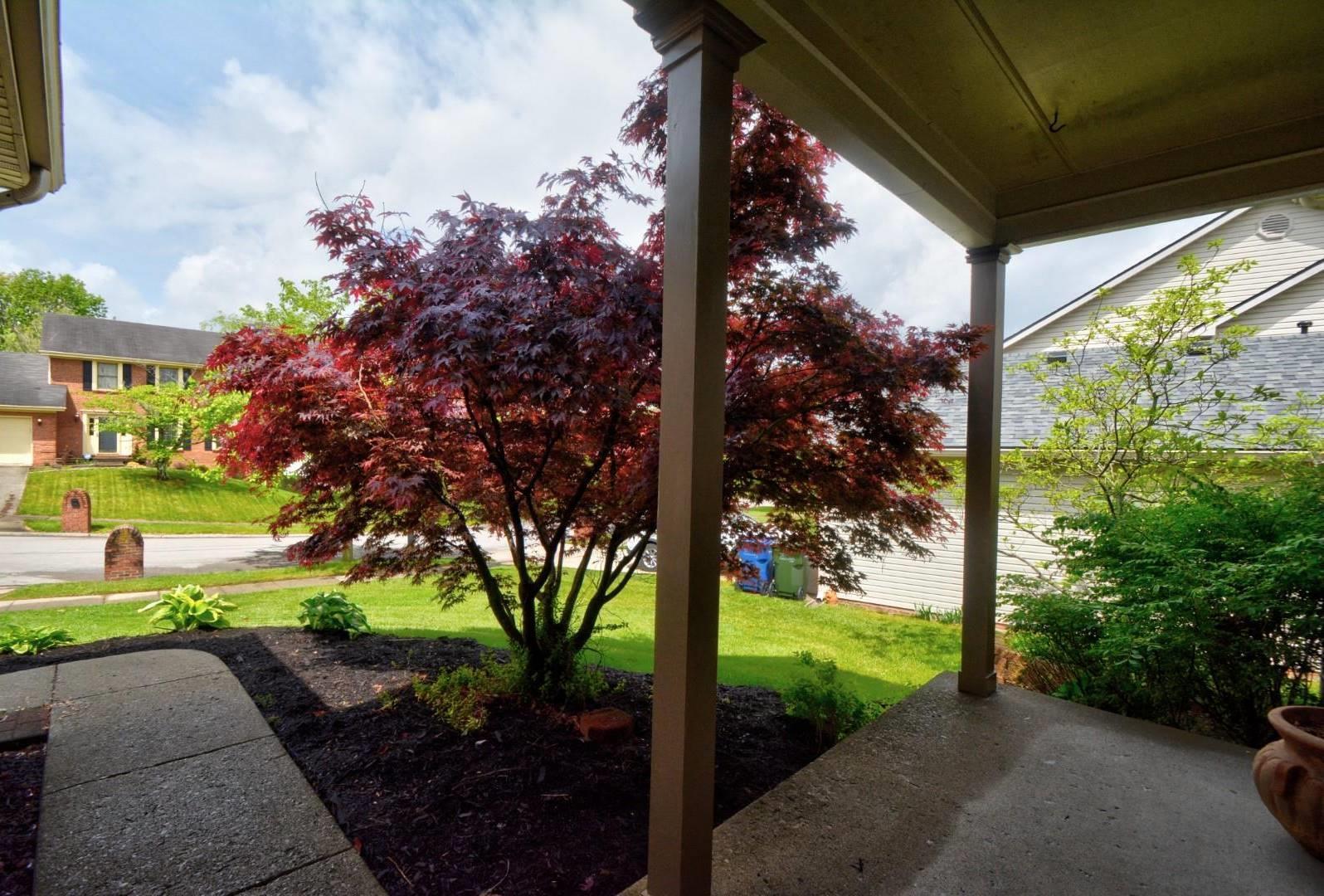 4108 Rainwater Circle